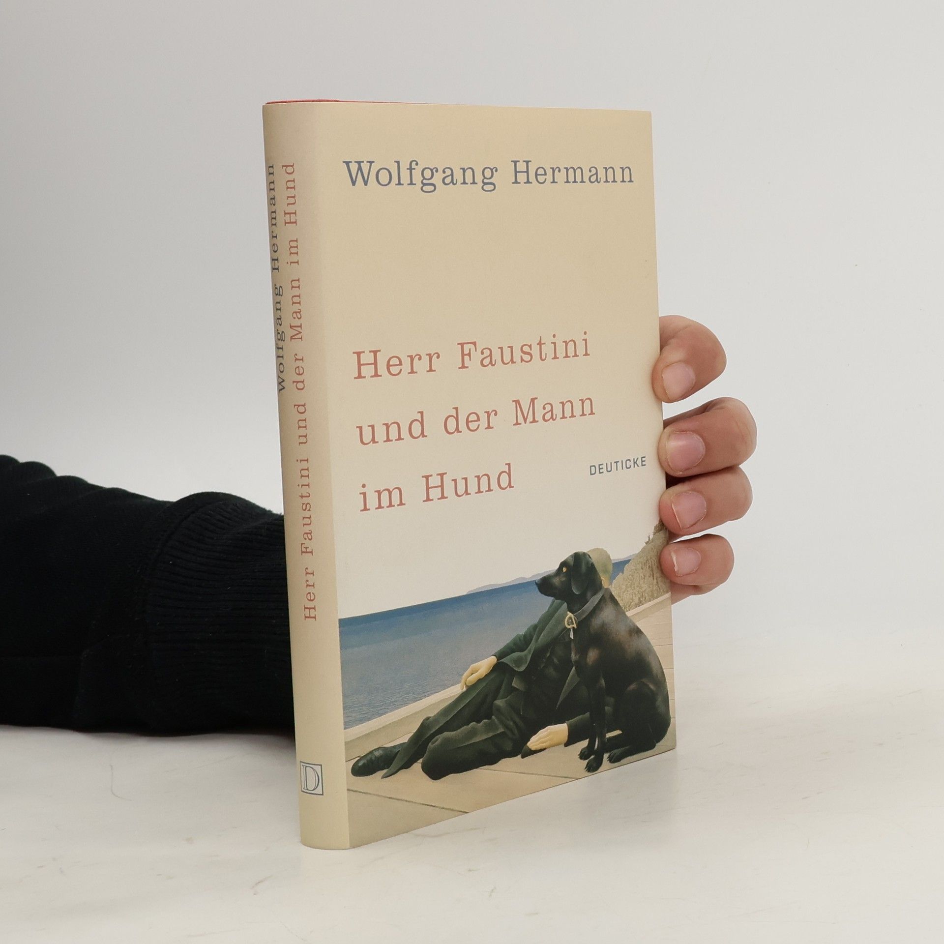 Wolfgang Hermann Herr Faustini und der Mann im Hund. Roman