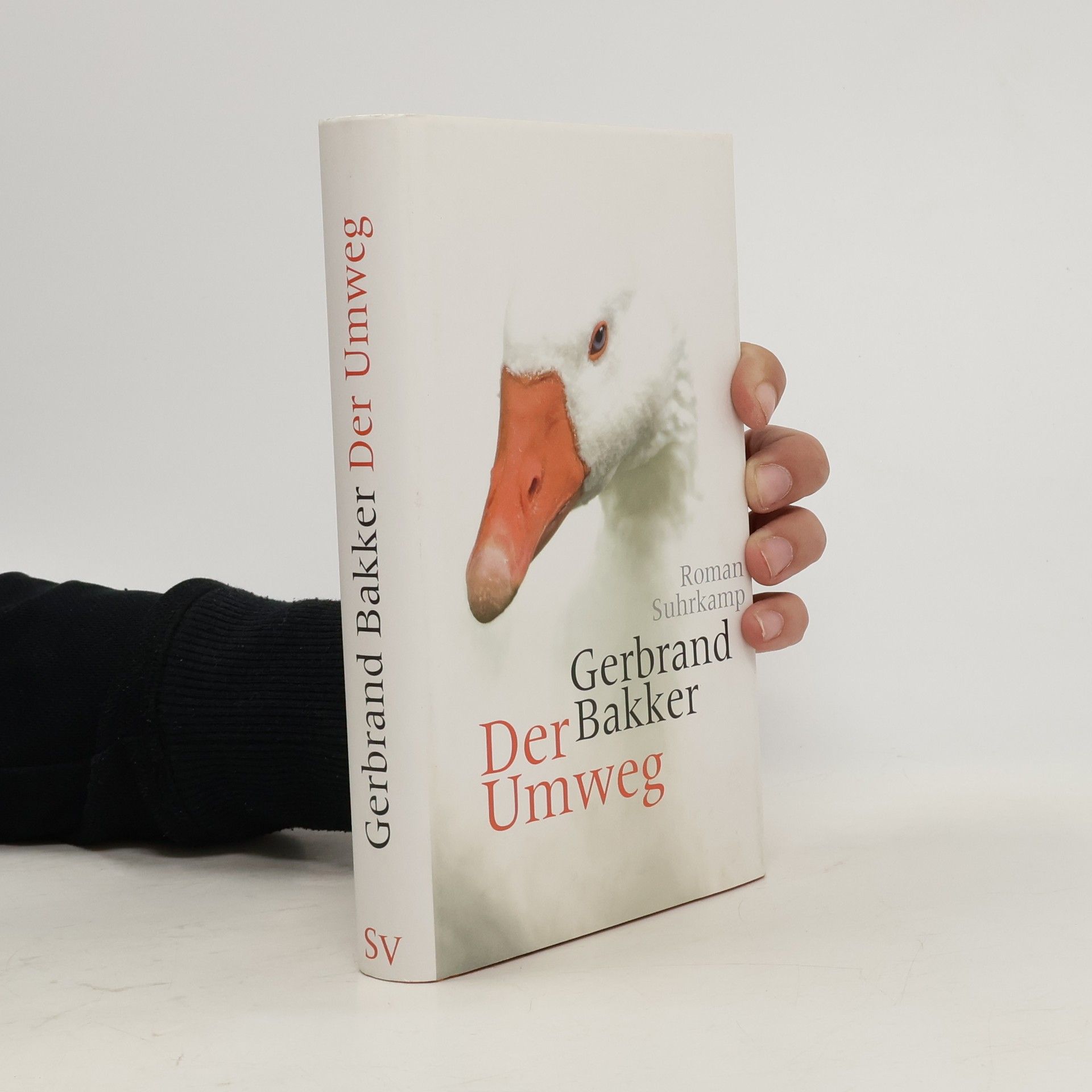 Gerbrand Bakker Der Umweg