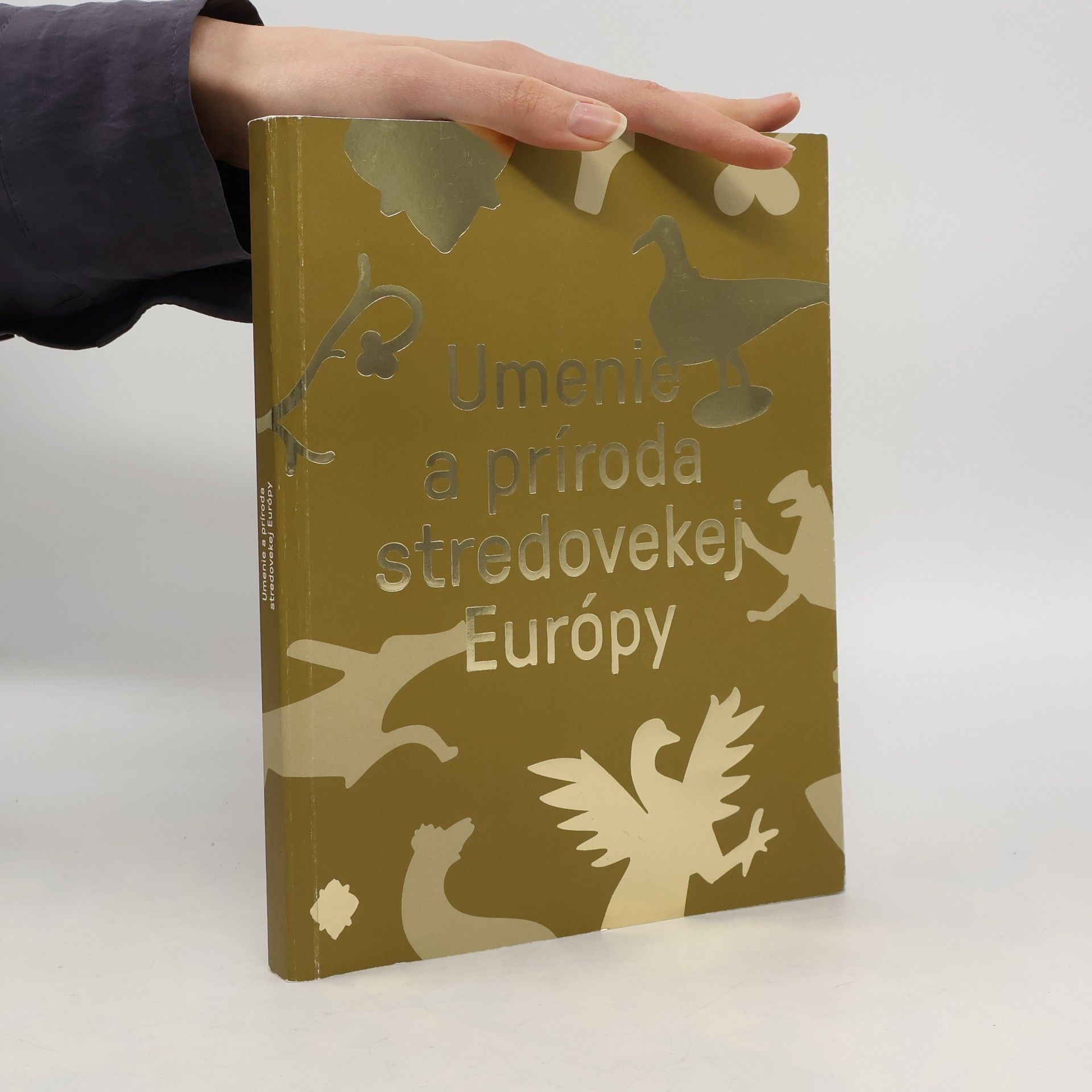 Kolektív autorov Umenie a príroda stredovekej Európy