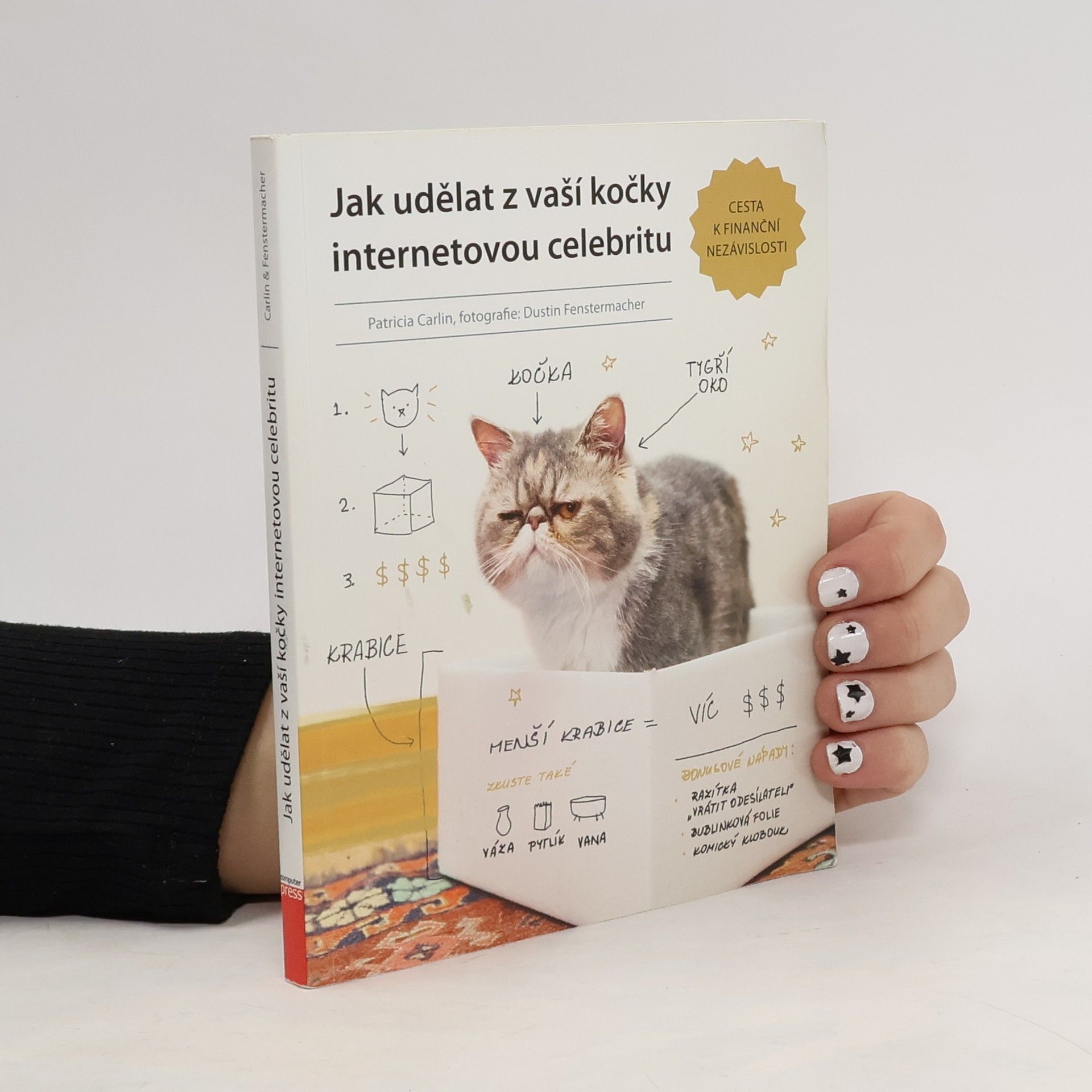 Jak udělat z vaší kočky internetovou celebritu