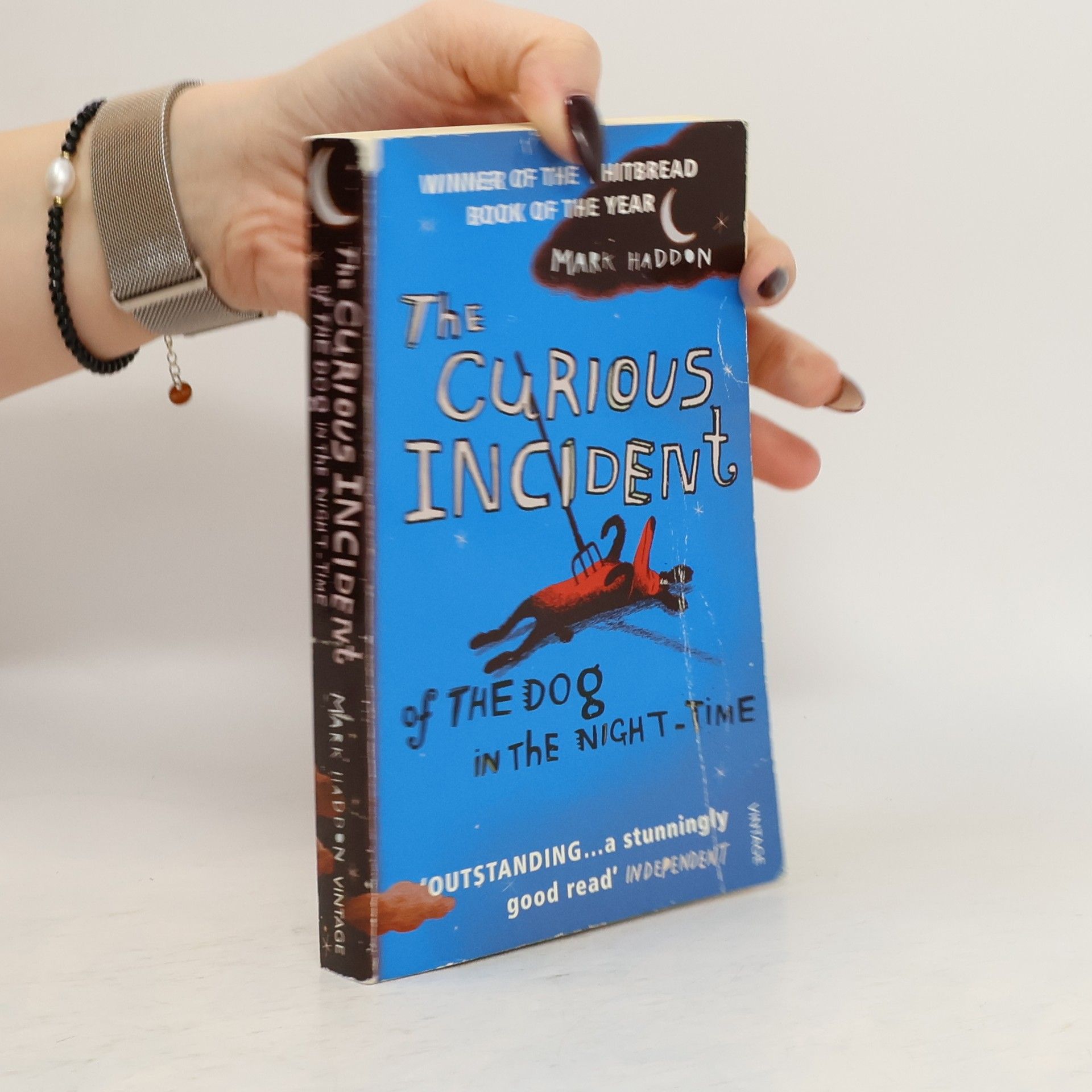 Mark Haddon The Curious Incident of The Dog in The Night-Time