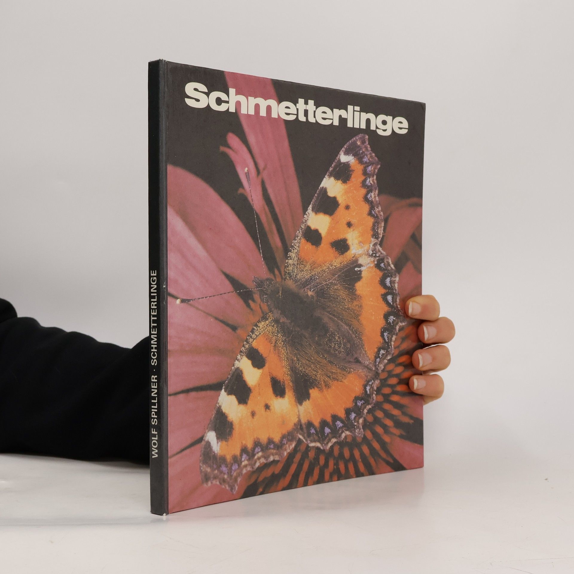 Schmetterlinge