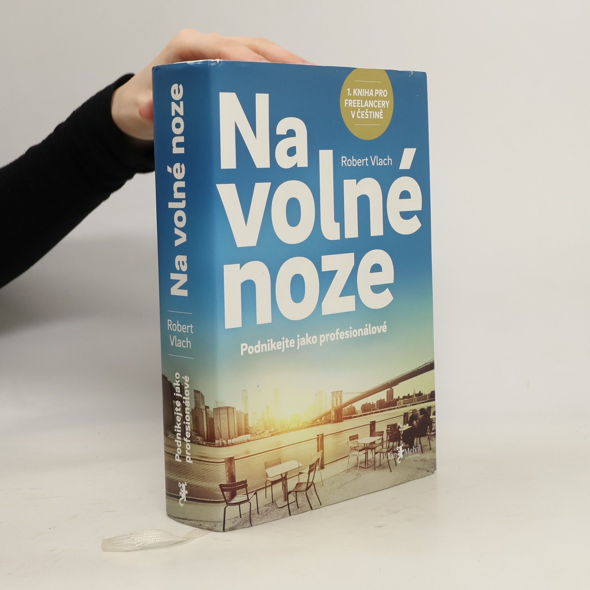 Robert Vlach Na volné noze