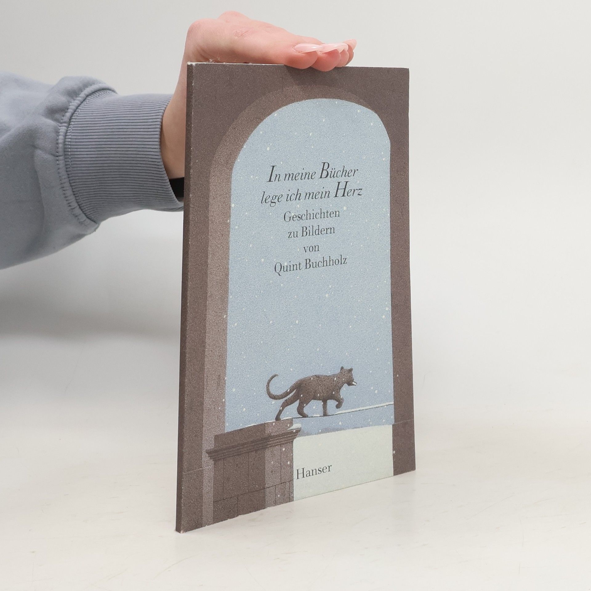 Quint Buchholz In meine Bücher lege ich mein Herz