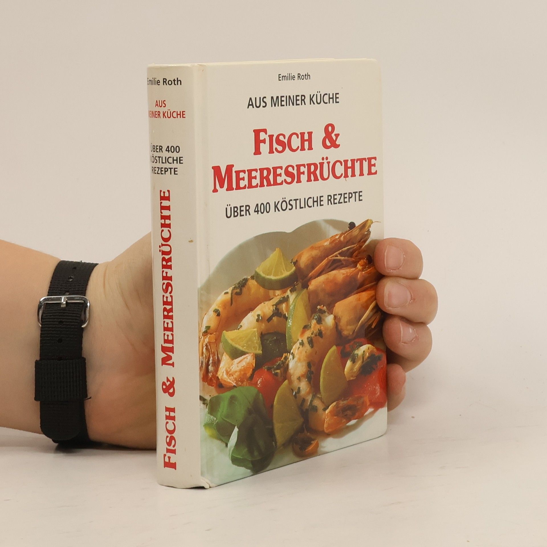 Kolektiv autorů Aus meiner Küche