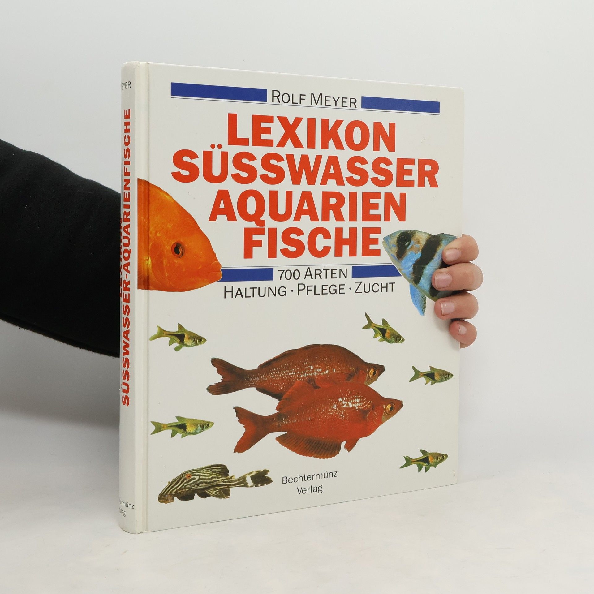 Autorenkollektiv Lexikon Süsswasser Aquarienfische