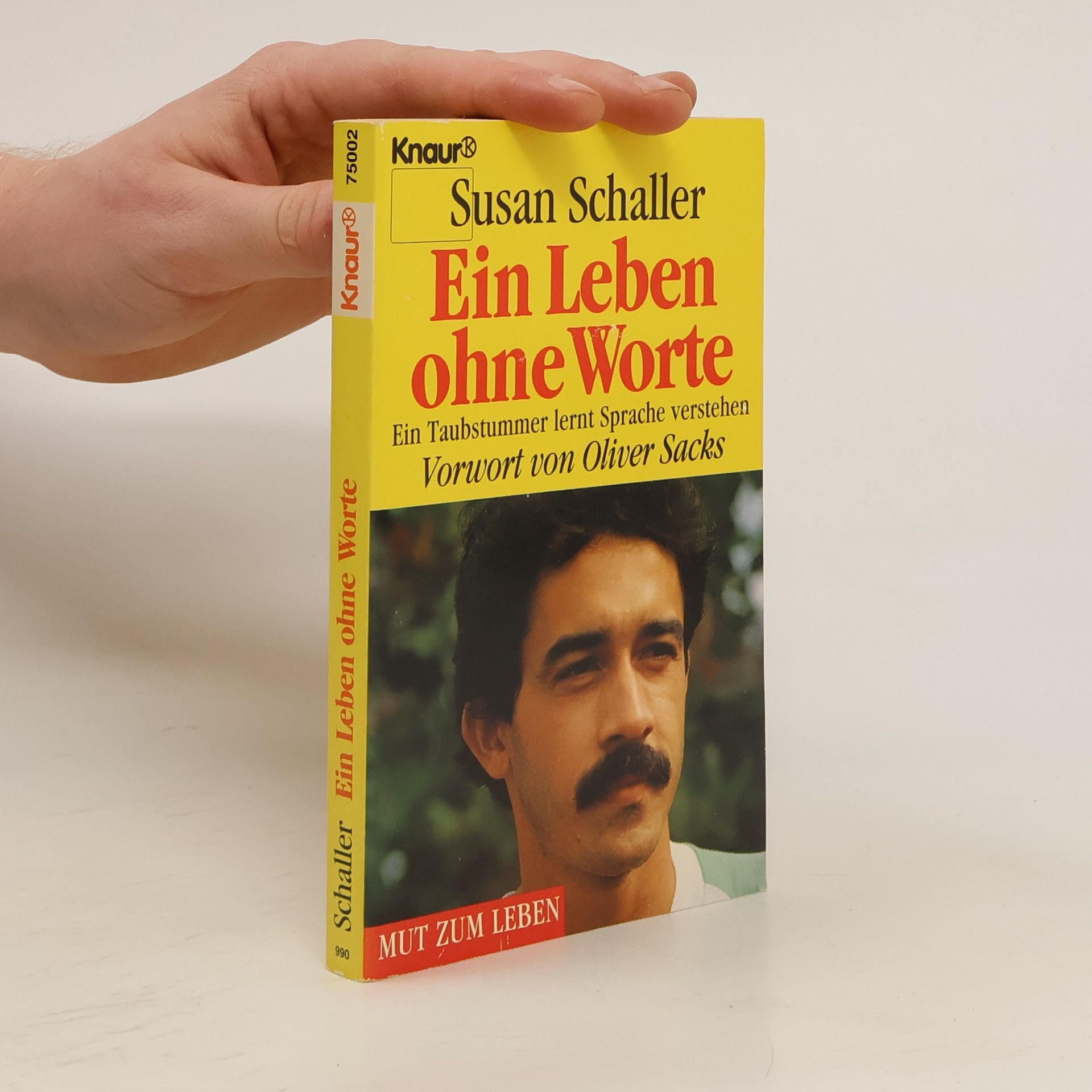 Susan Schaller Ein Leben ohne Worte