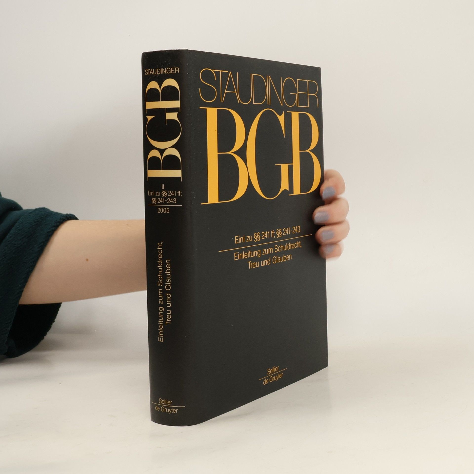 Julius von Staudinger Einl zu §§ 241 ff, §§ 241-243