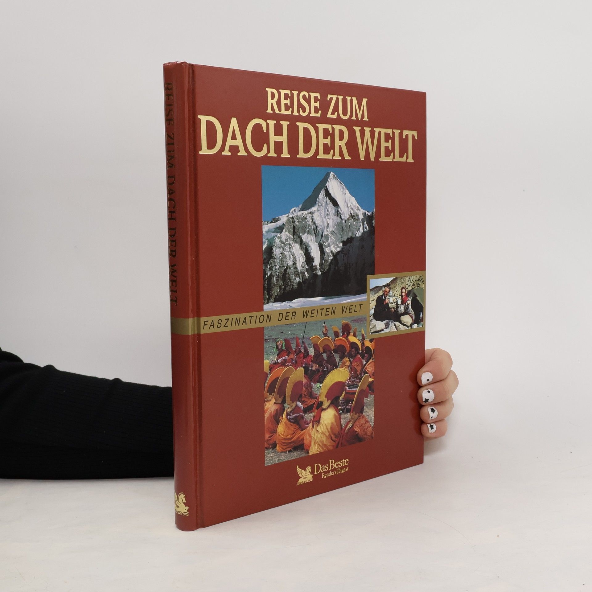 Autorenkollektiv Reise zum Dach der Welt