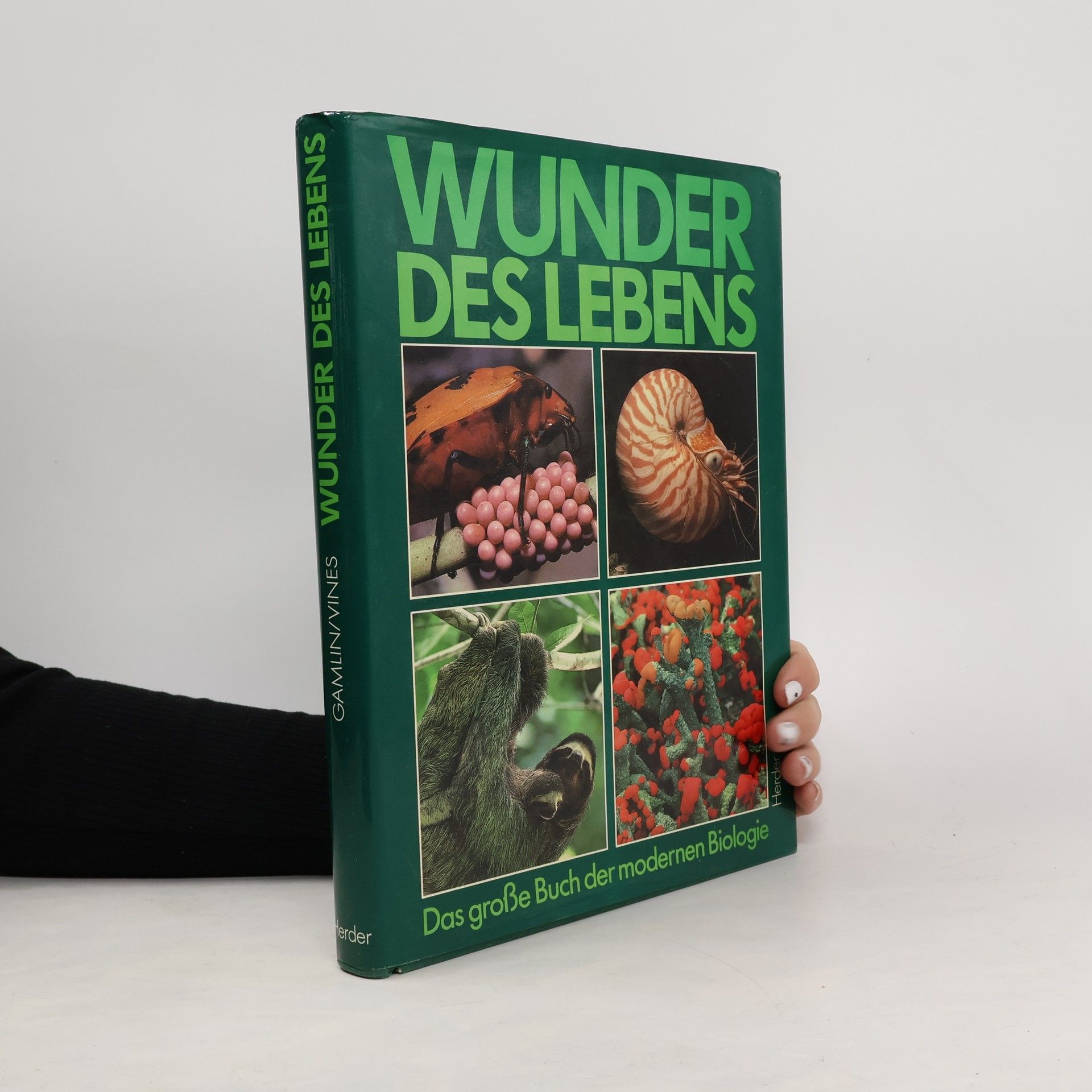 Linda Gamlin Wunder des Lebens