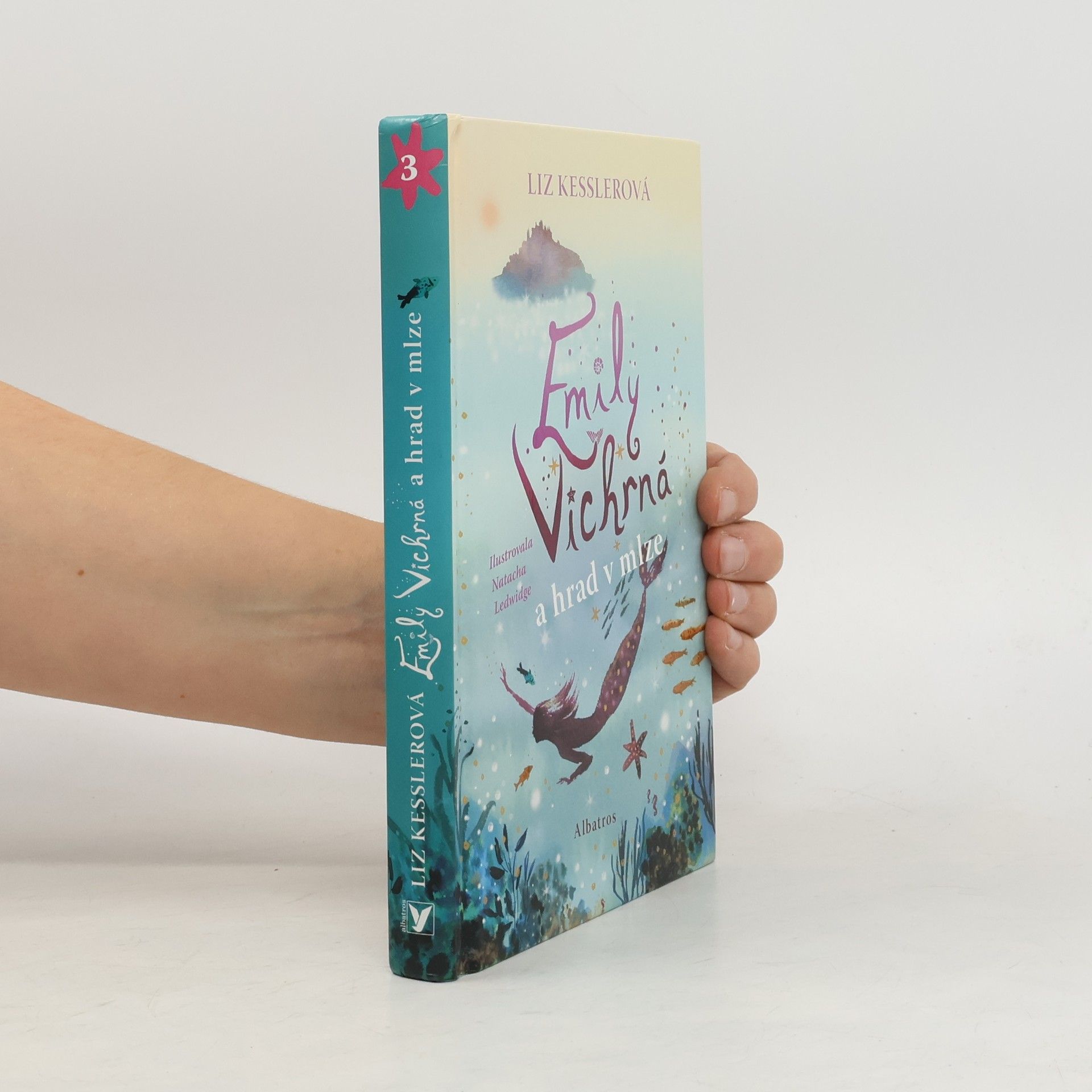 Liz Kessler Emily Vichrná a hrad v mlze