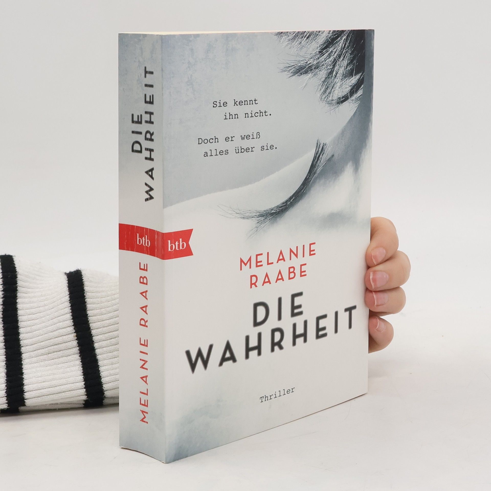 Melanie Raabe Die Wahrheit