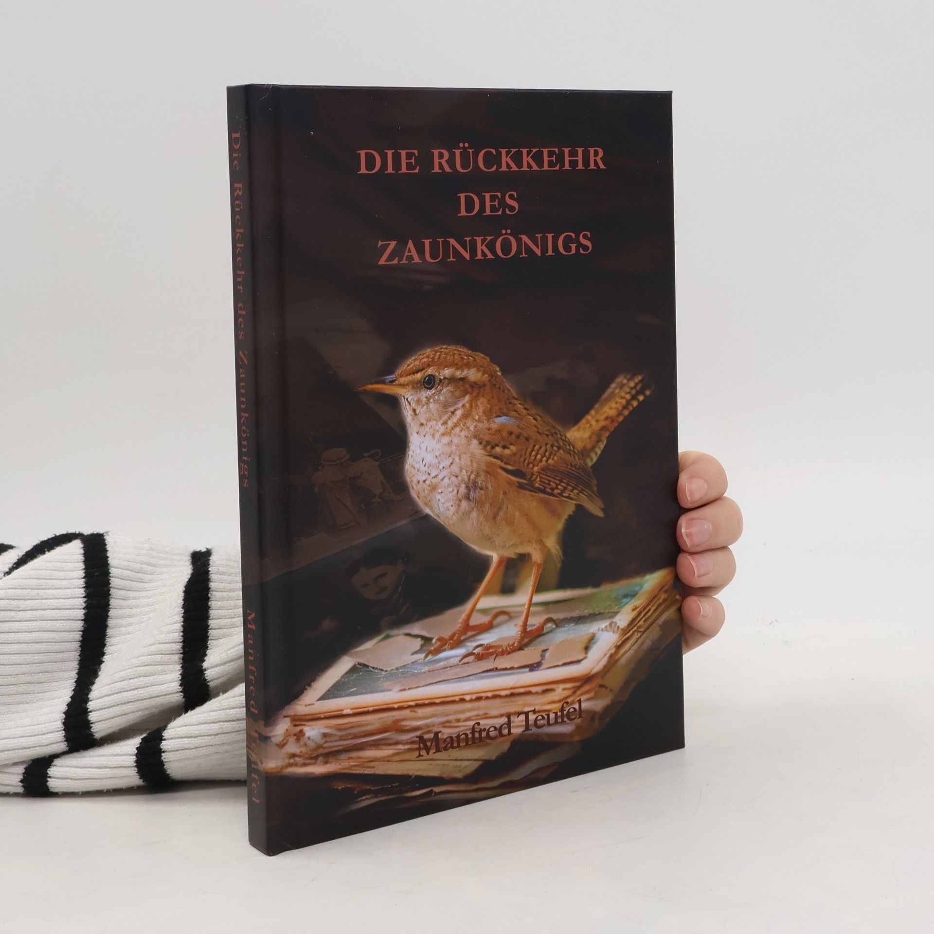 Die Rückkehr des Zaunkönigs