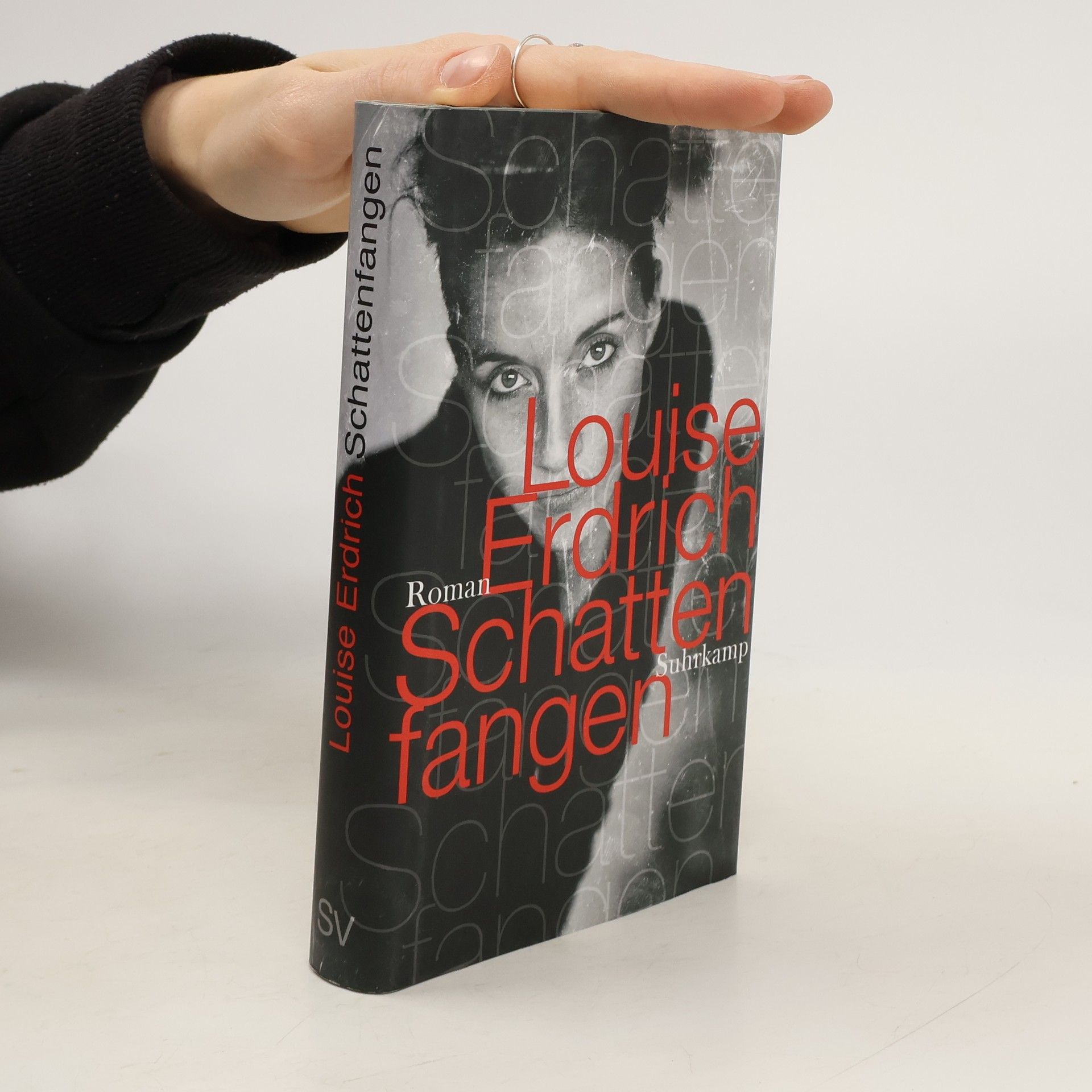 Louise Erdrich Schattenfangen