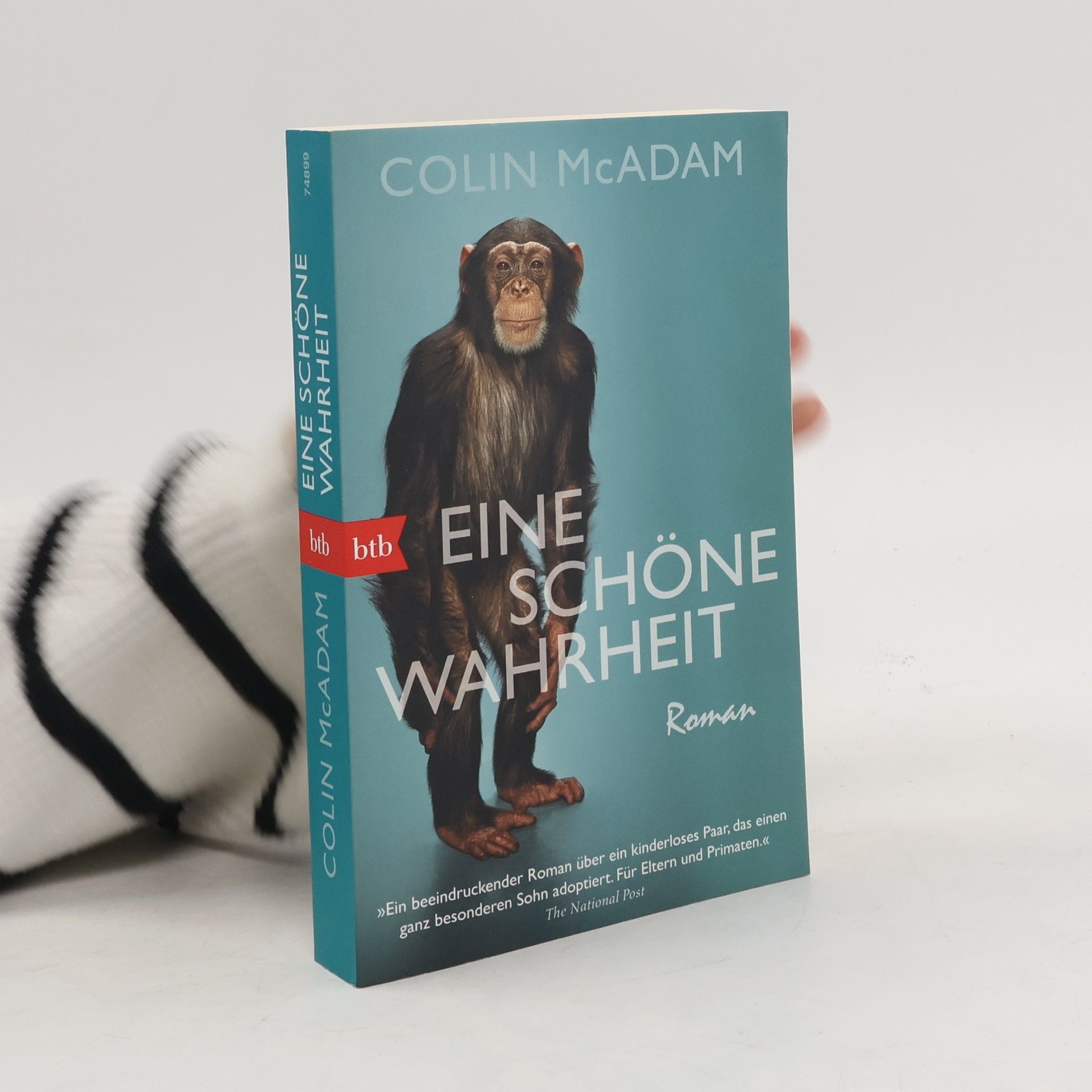 Colin McAdam Eine schöne Wahrheit