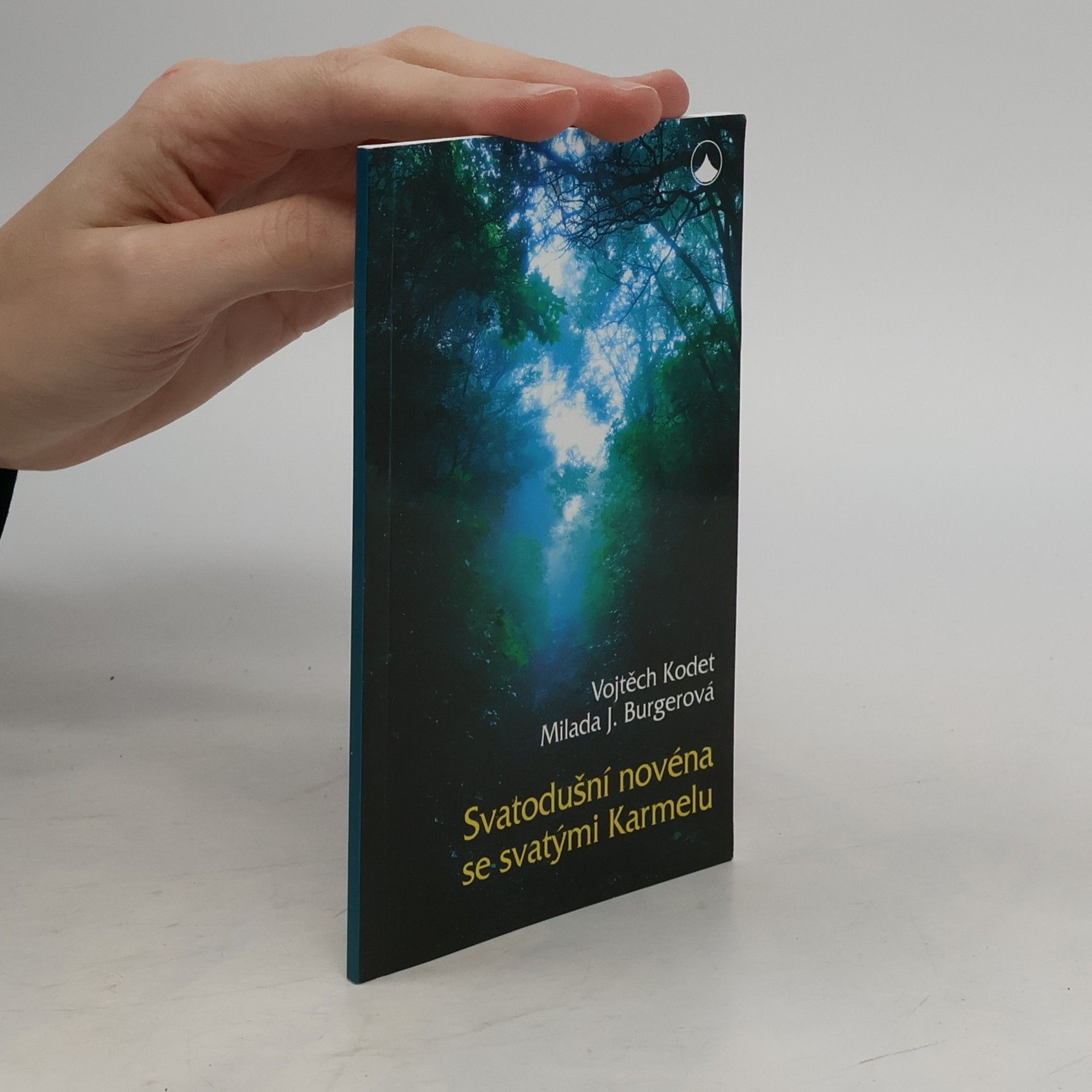 Vojtěch Kodet Svatodušní novéna se svatými Karmelu
