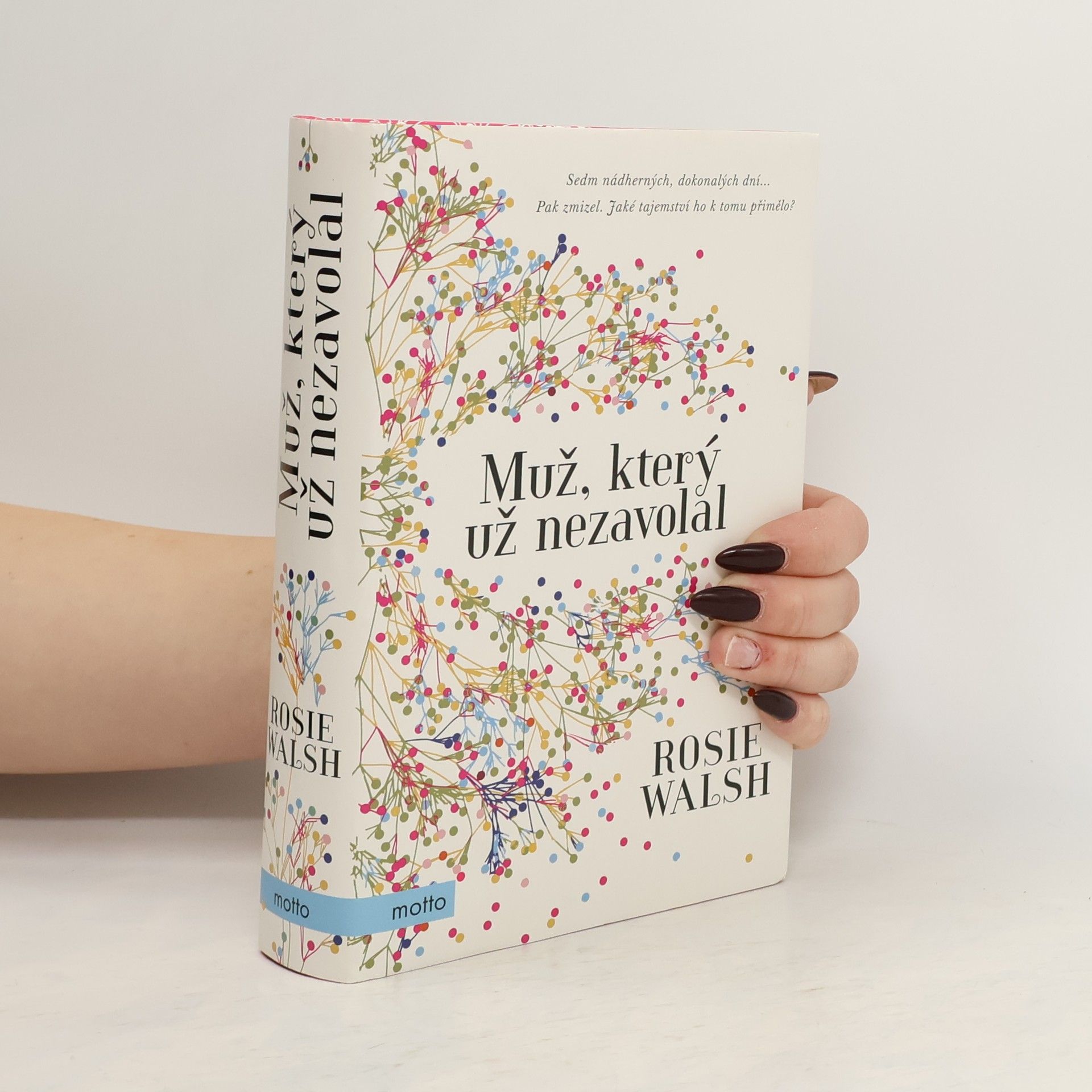 Rosie Walsh Muž, který už nezavolal