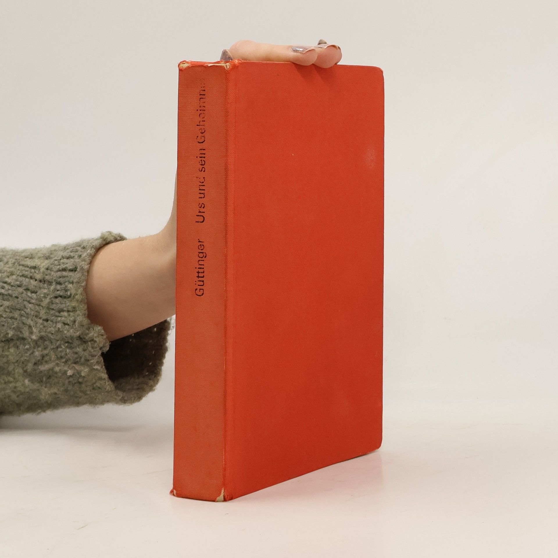 Werner Güttinger Güttinger Urs und sein Geheimnis