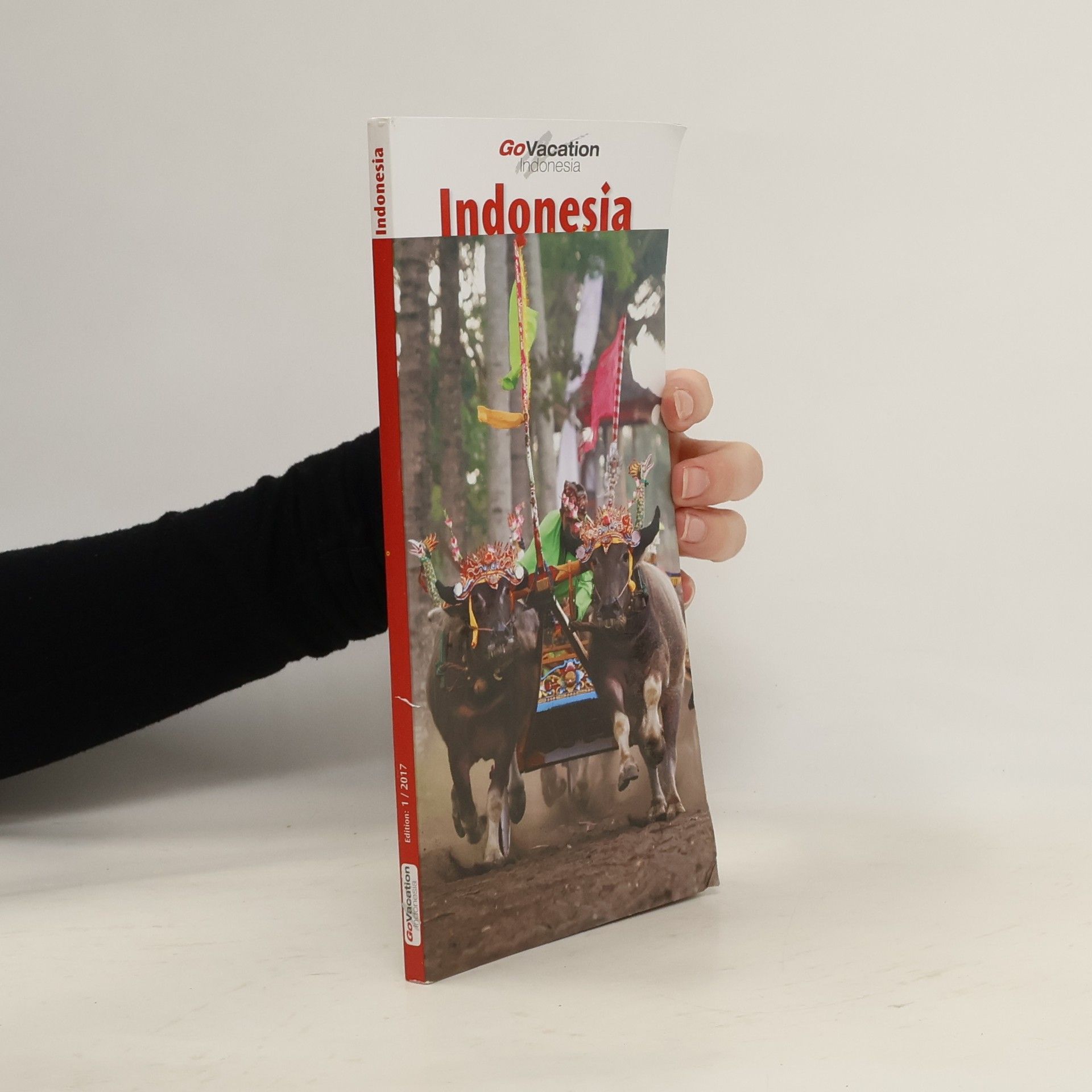 Autorenkollektiv Indonesien 1/2017