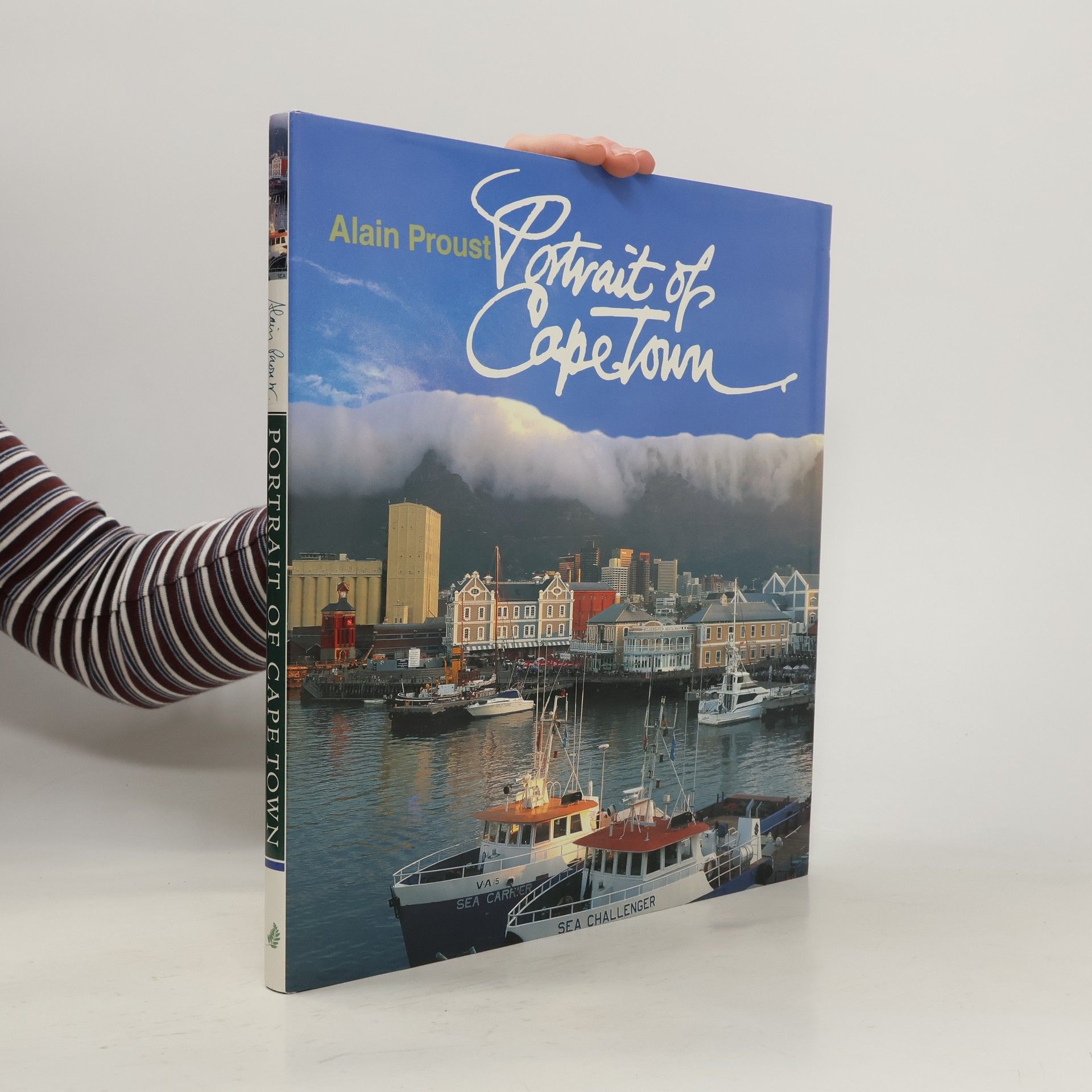 Portrait of Cape Town