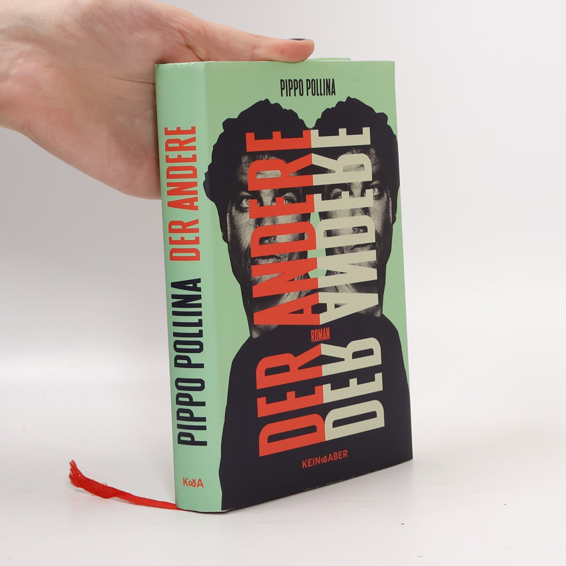 Pippo Pollina Der Andere