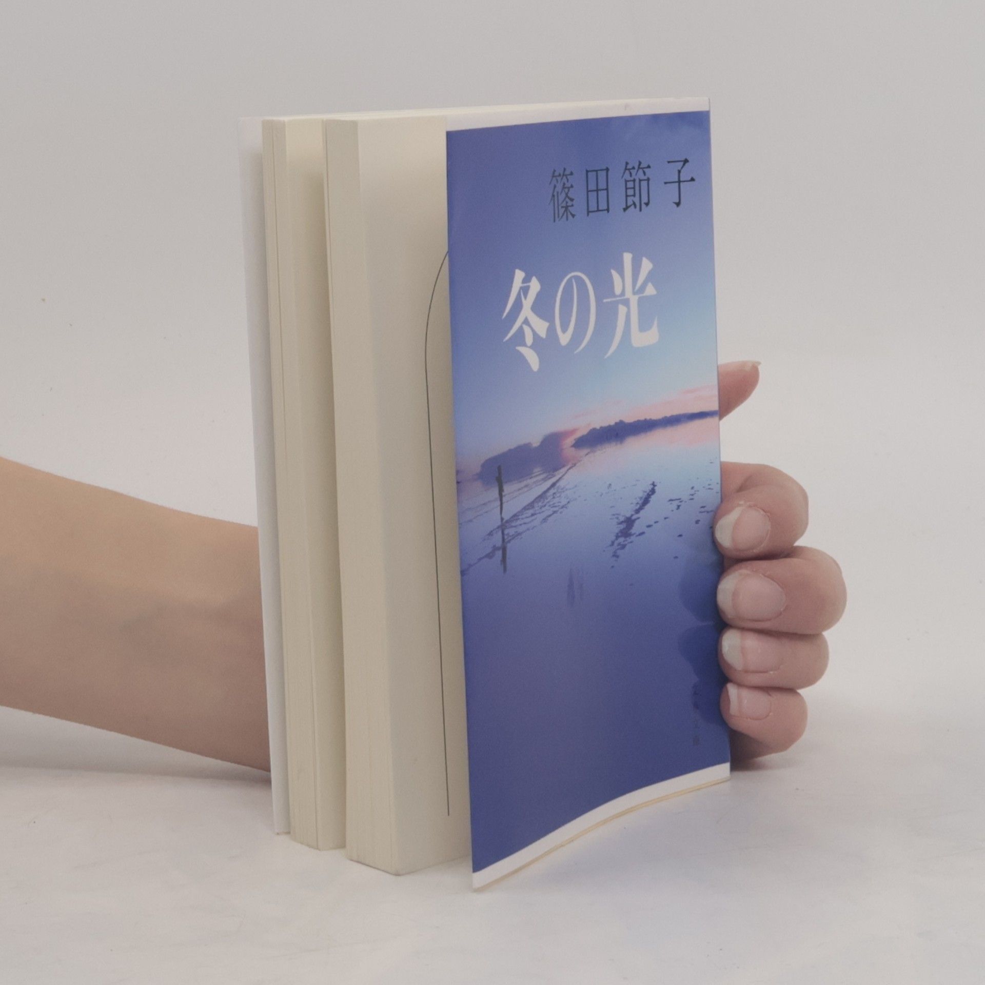 Setsuko Shinoda 文春文庫: 冬の光