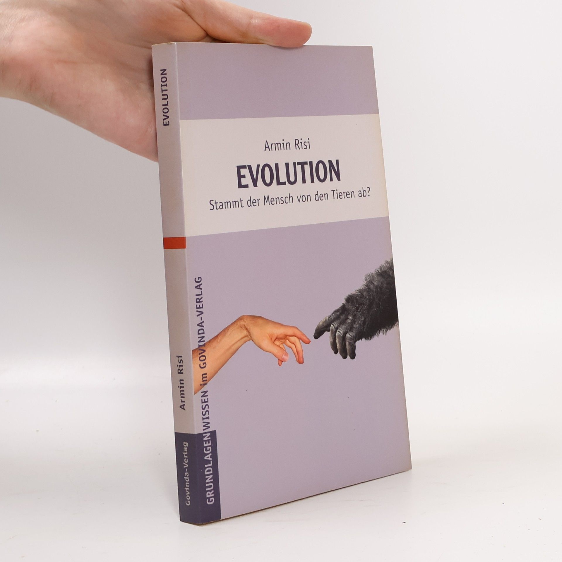 Armin Risi Evolution