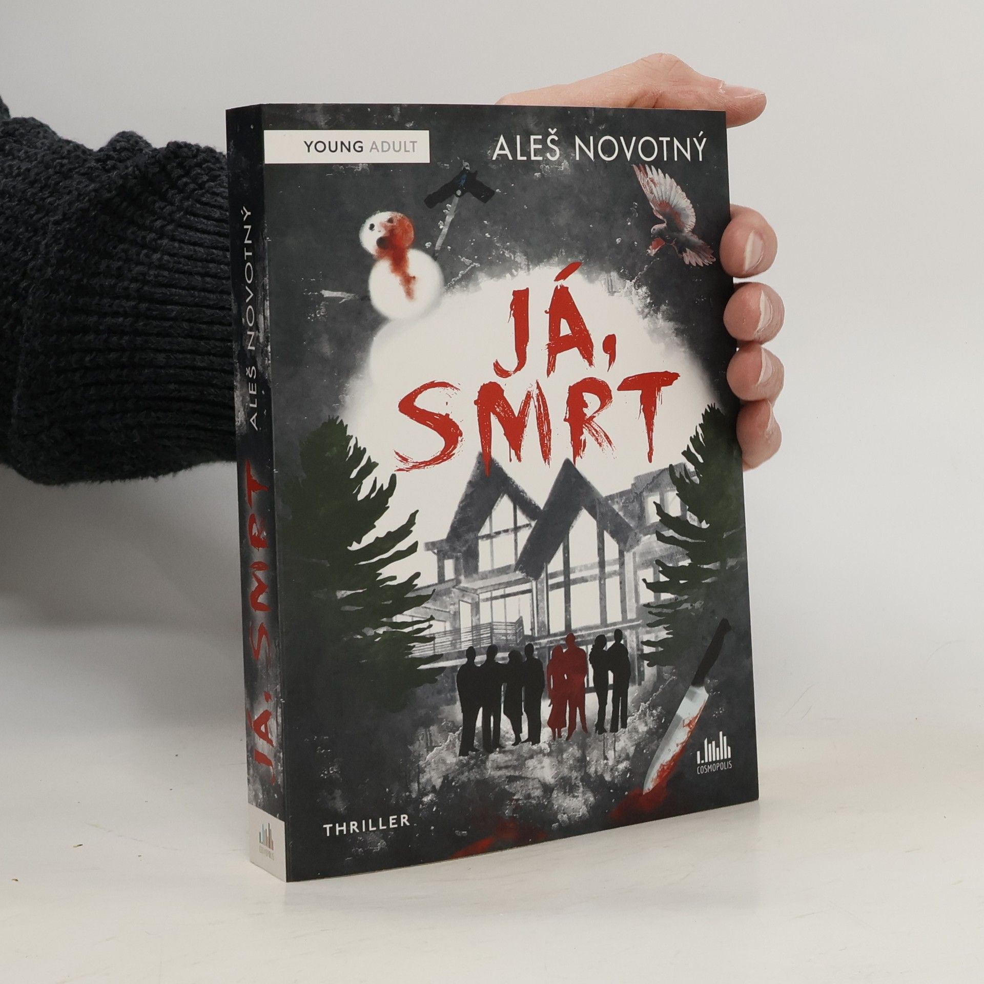 Aleš Novotný Já, Smrt