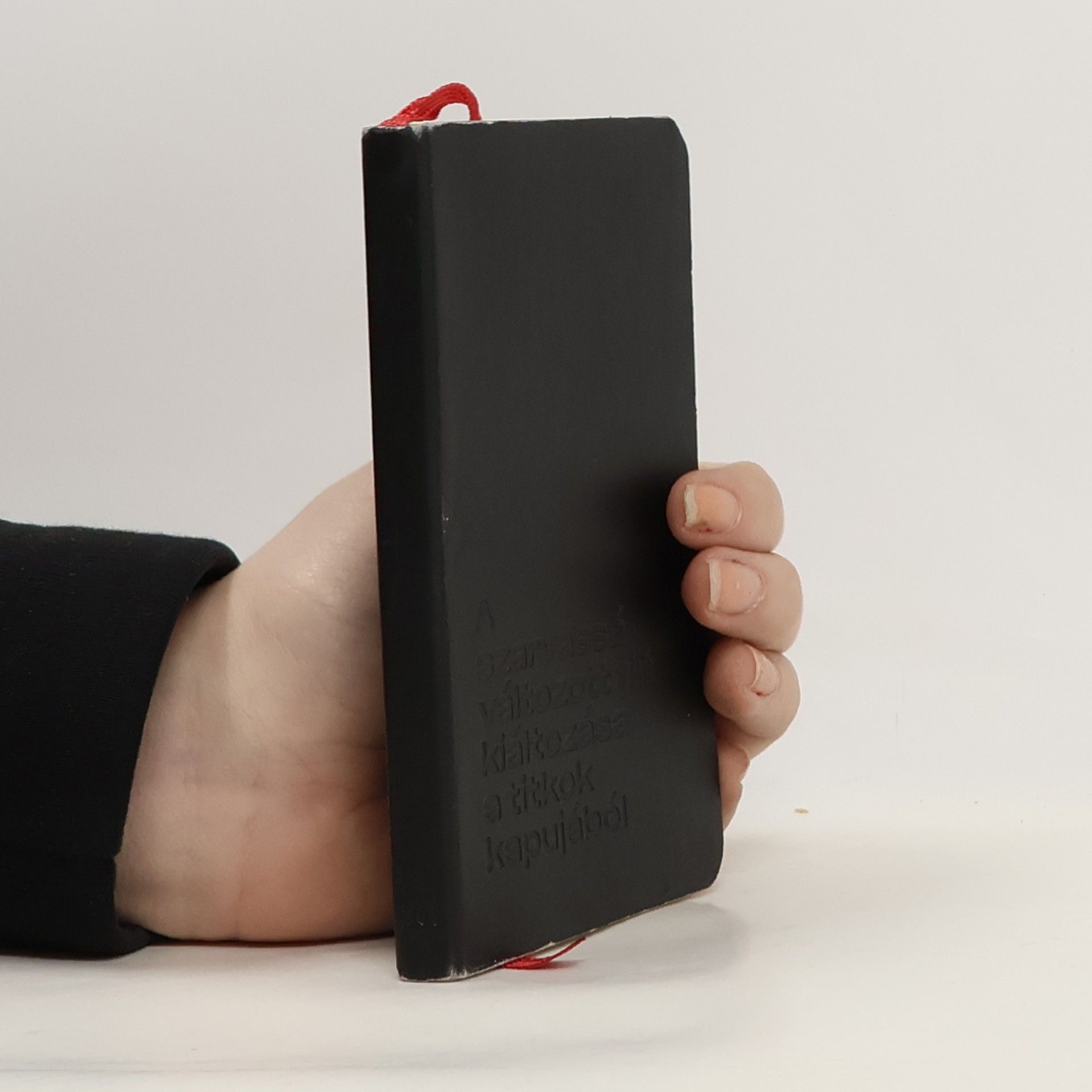 Kolektiv autorů A szarvassá változott fiú kiáltozása a titkok kapujából