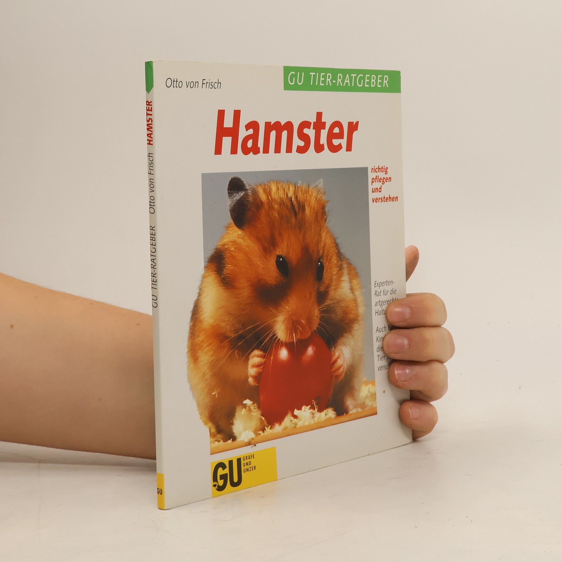 Hamster richtig pflegen und verstehen
