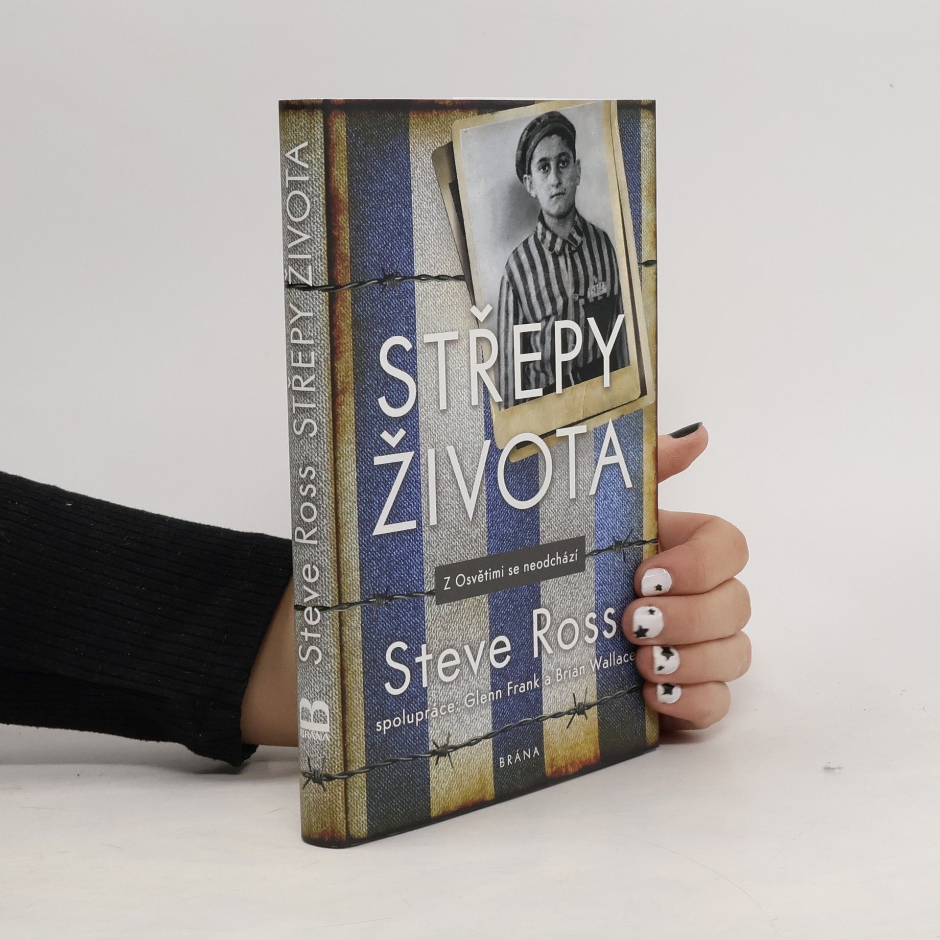 Steve Ross Střepy života