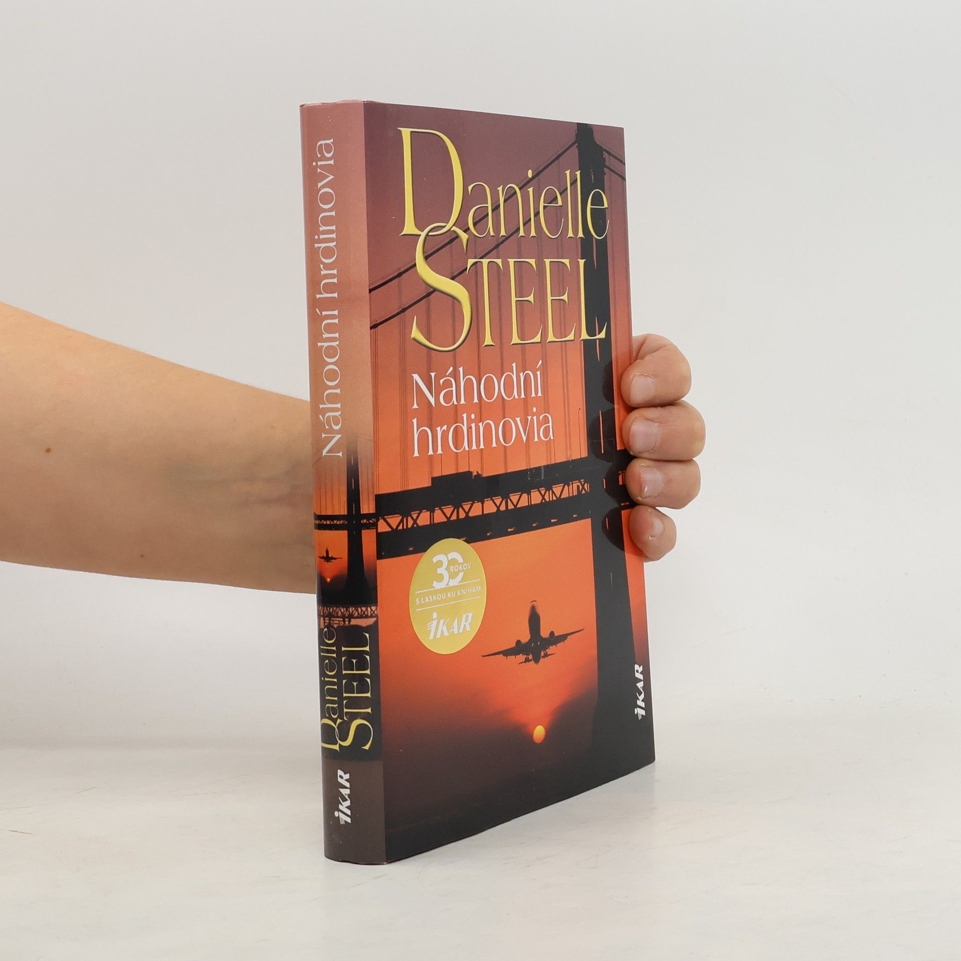 Danielle Steel Náhodní hrdinovia