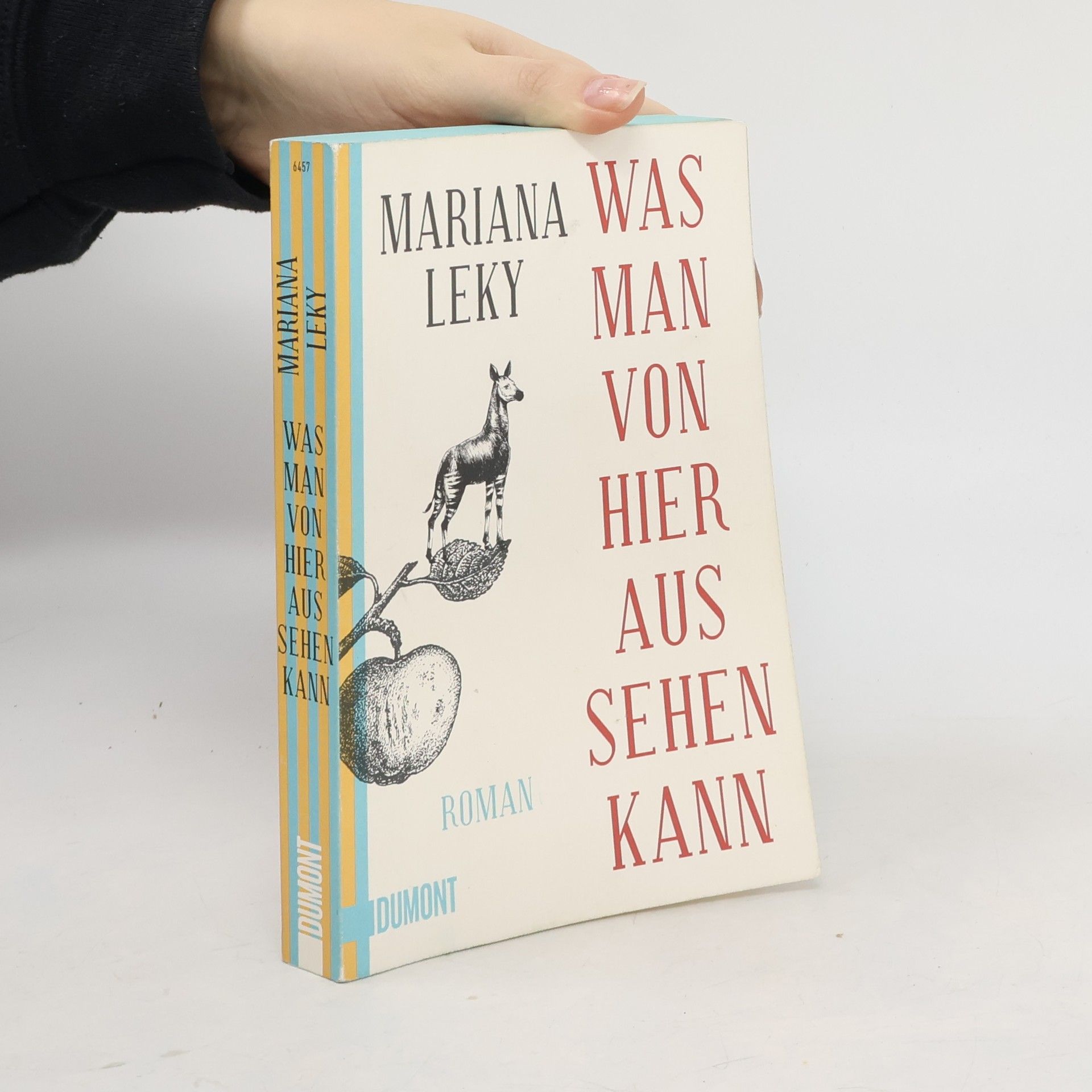 Mariana Leky Was man von hier aus sehen kann