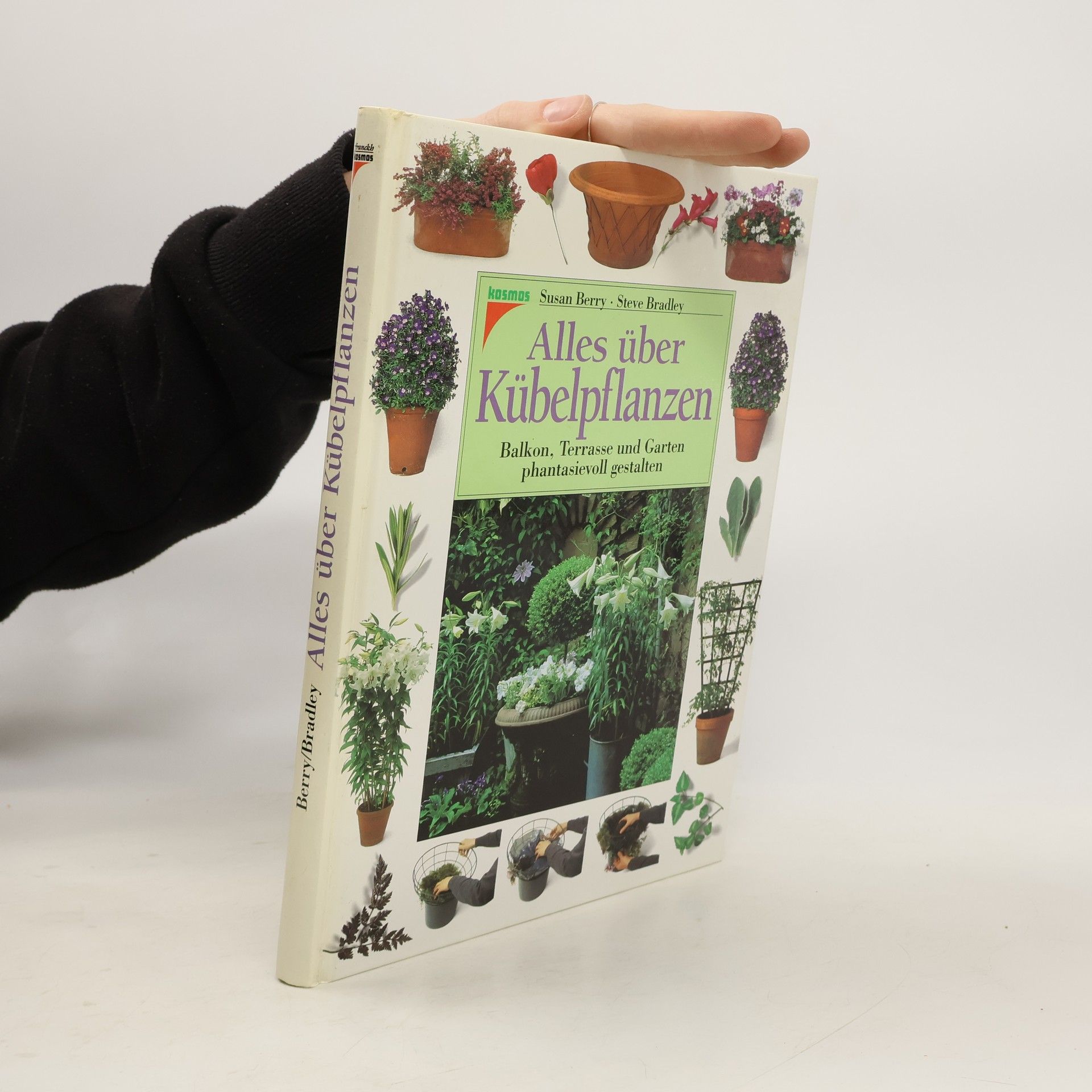 Susan Berry Alles über Kübelpflanzen