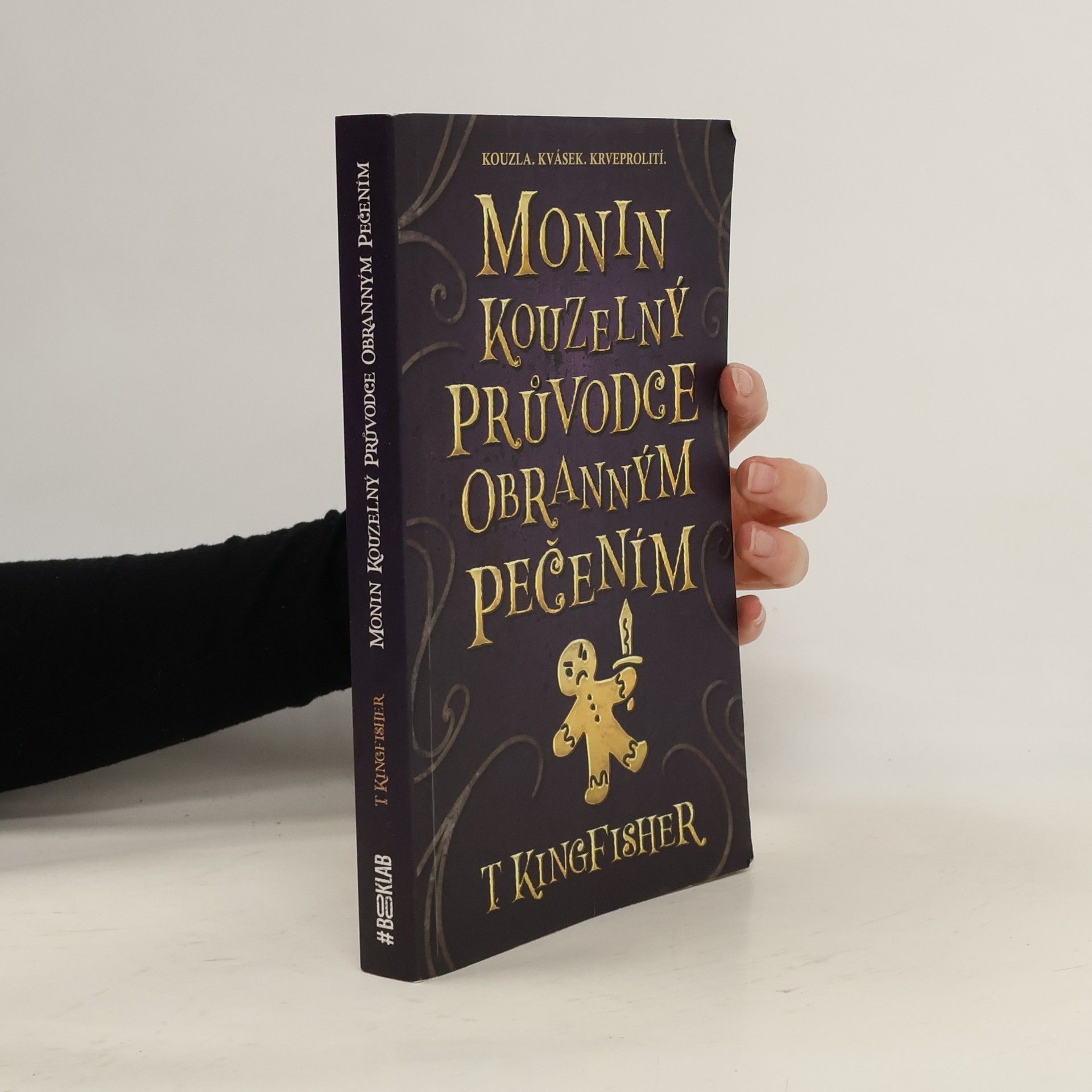 Anežka Mann Monin kouzelný průvodce obranným pečením