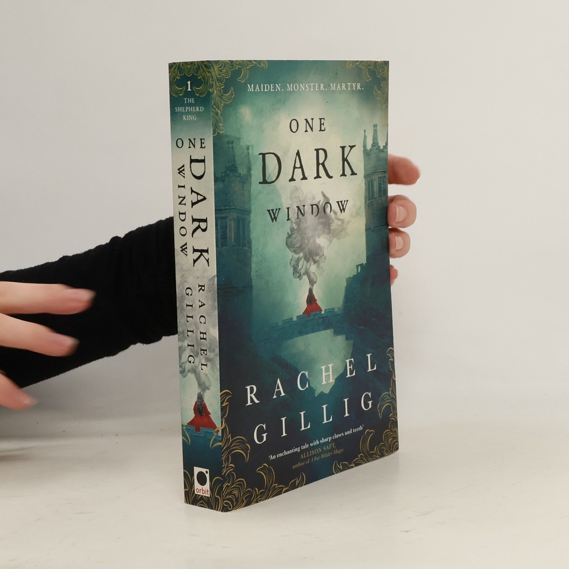 Rachel Gillig One Dark Window