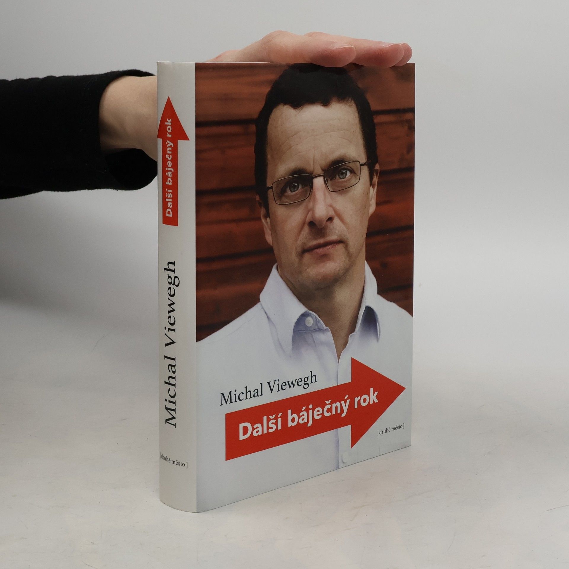 Michal Viewegh Další báječný rok