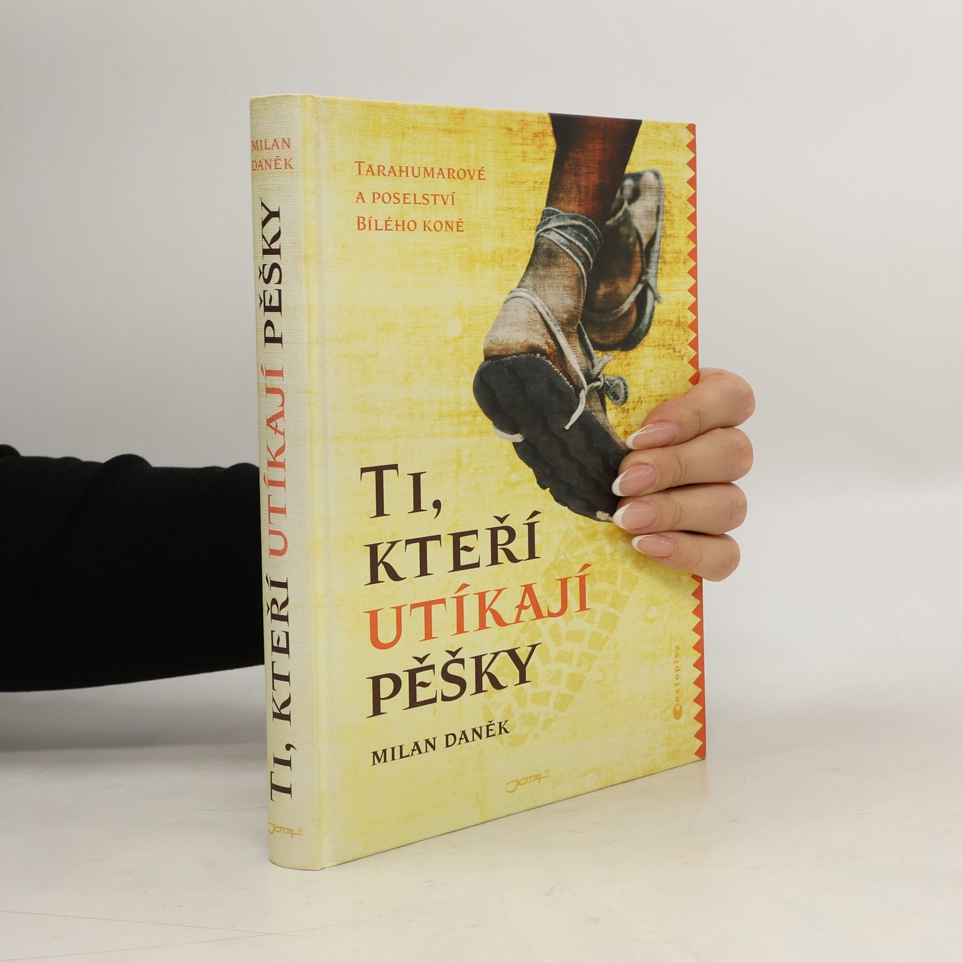 Milan Daněk Ti, kteří utíkají pěšky