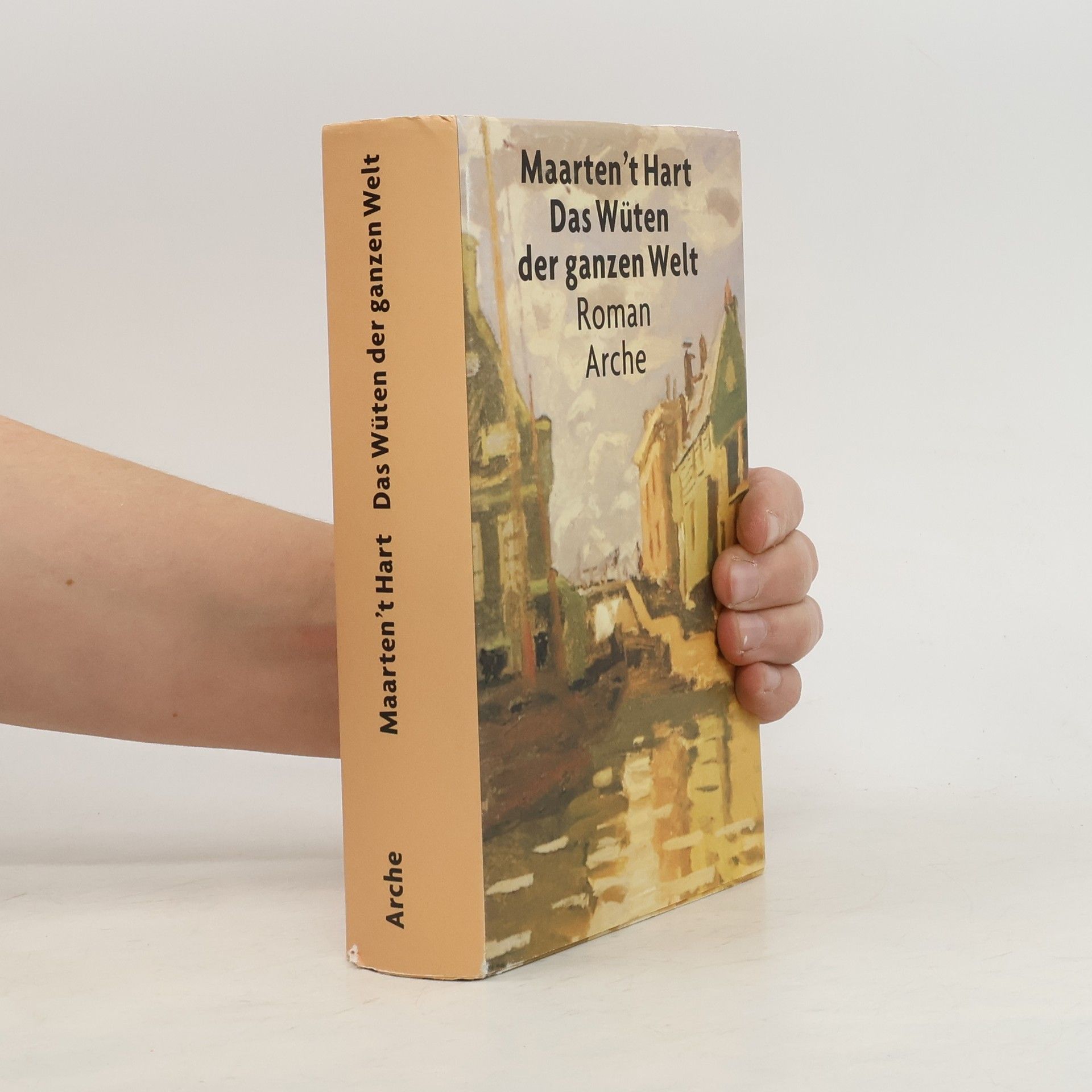 Maarten 't Hart Das Wüten der ganzen Welt