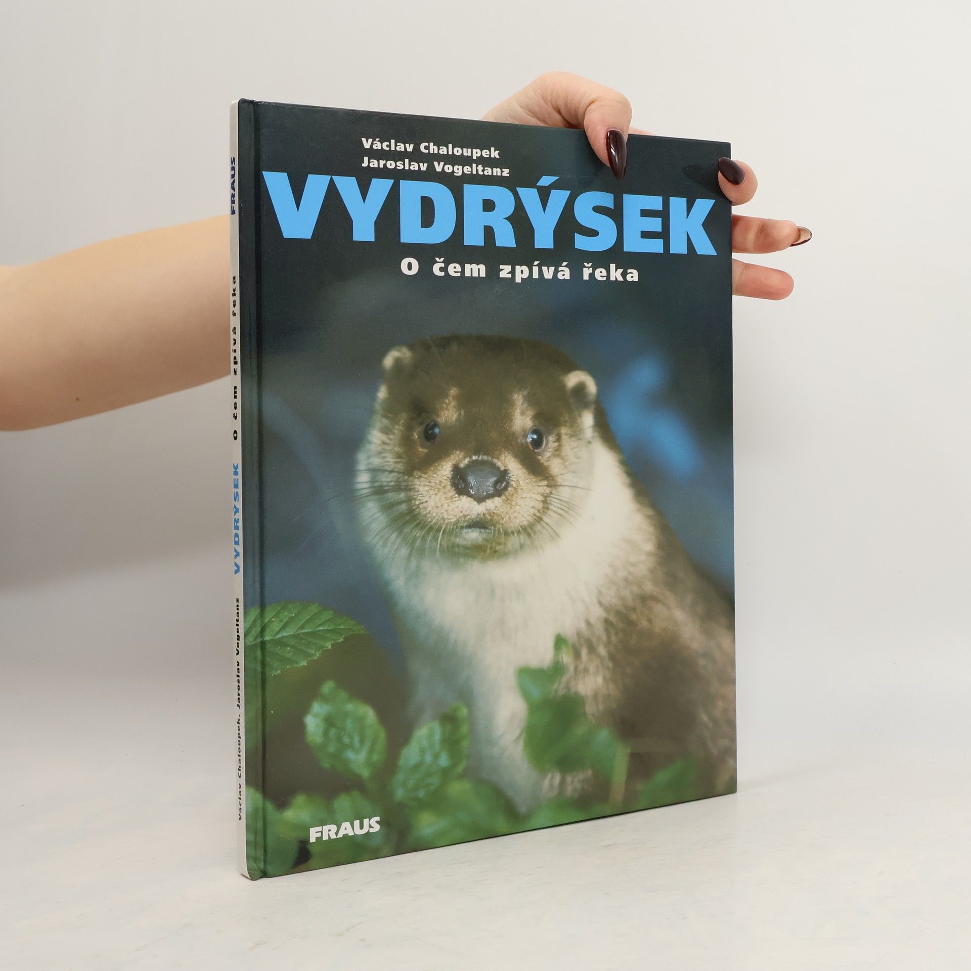 Jaroslav Vogeltanz Vydrýsek. O čem zpívá řeka