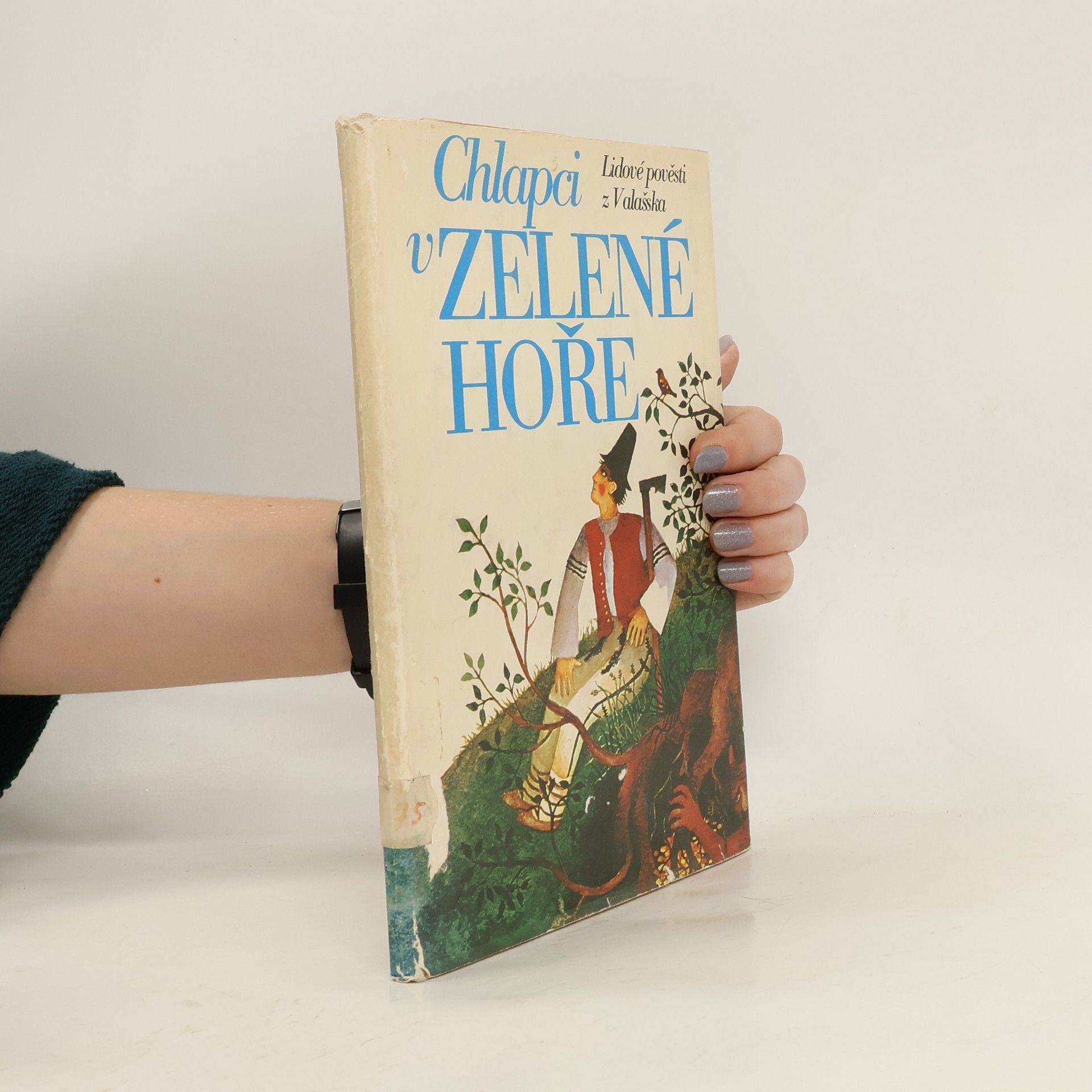 Chlapci v zelené hoře