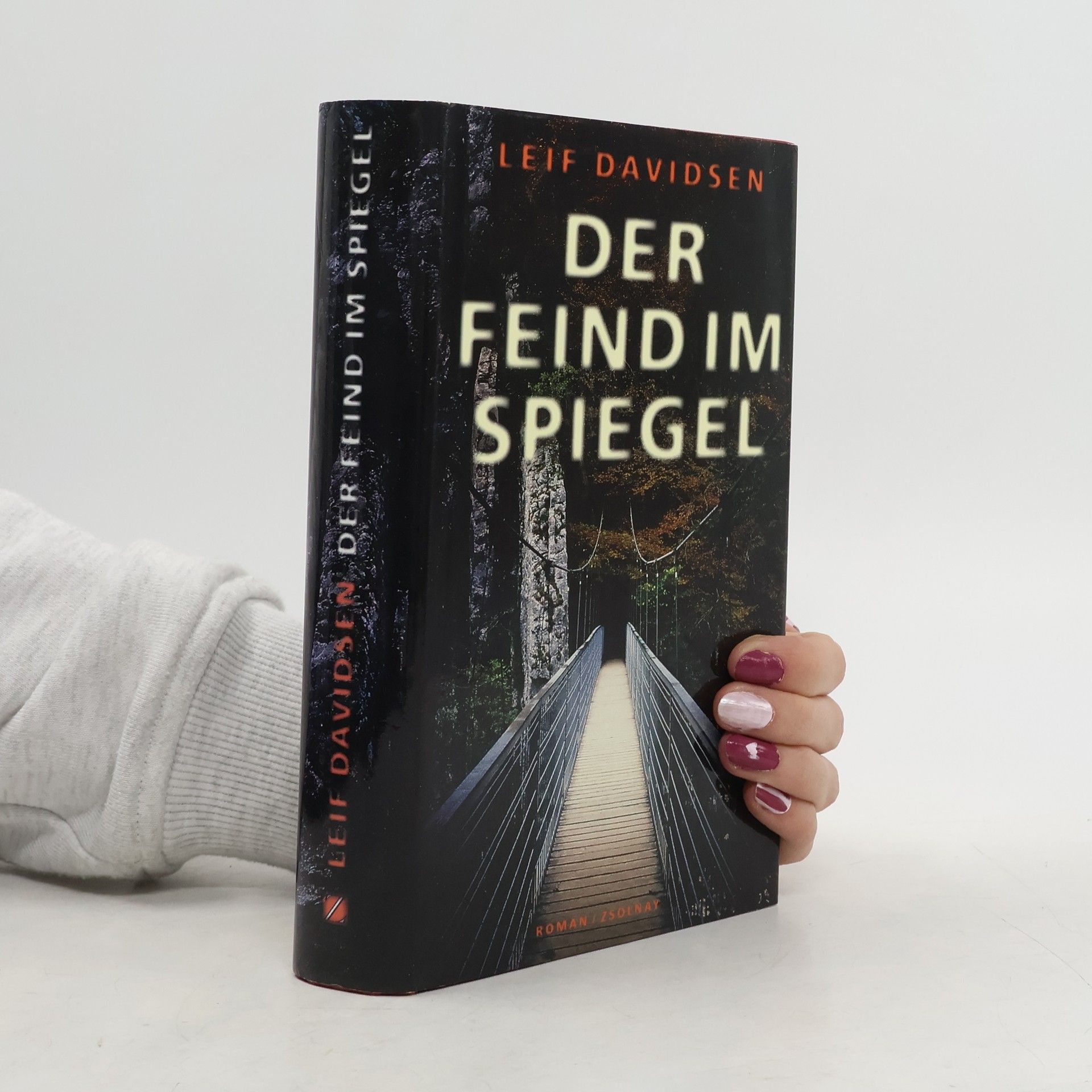 Leif Davidsen Der Feind im Spiegel