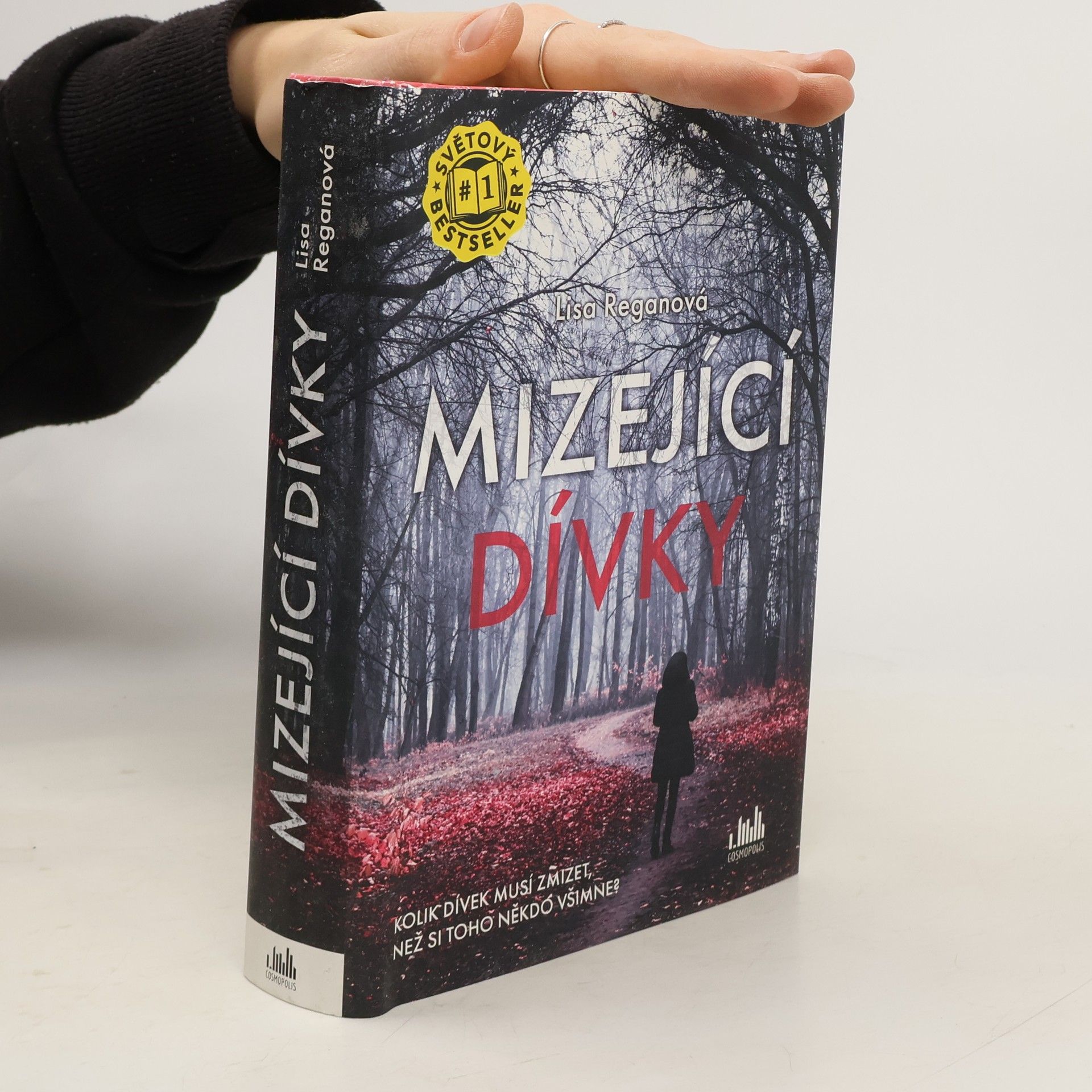 Lisa Regan Mizející dívky