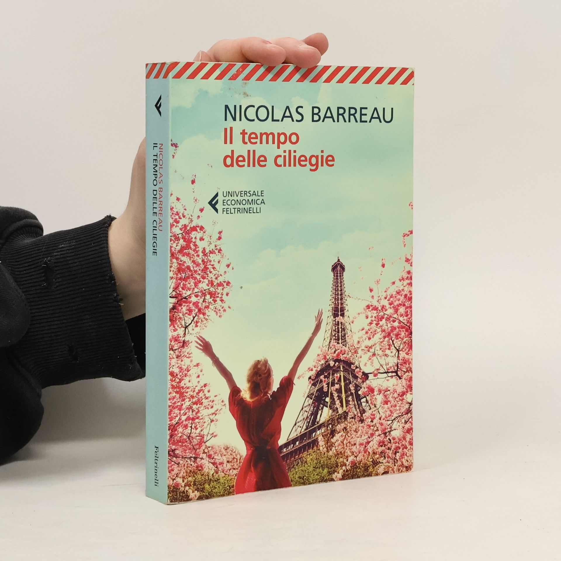 Nicolas Barreau Il tempo delle ciliegie
