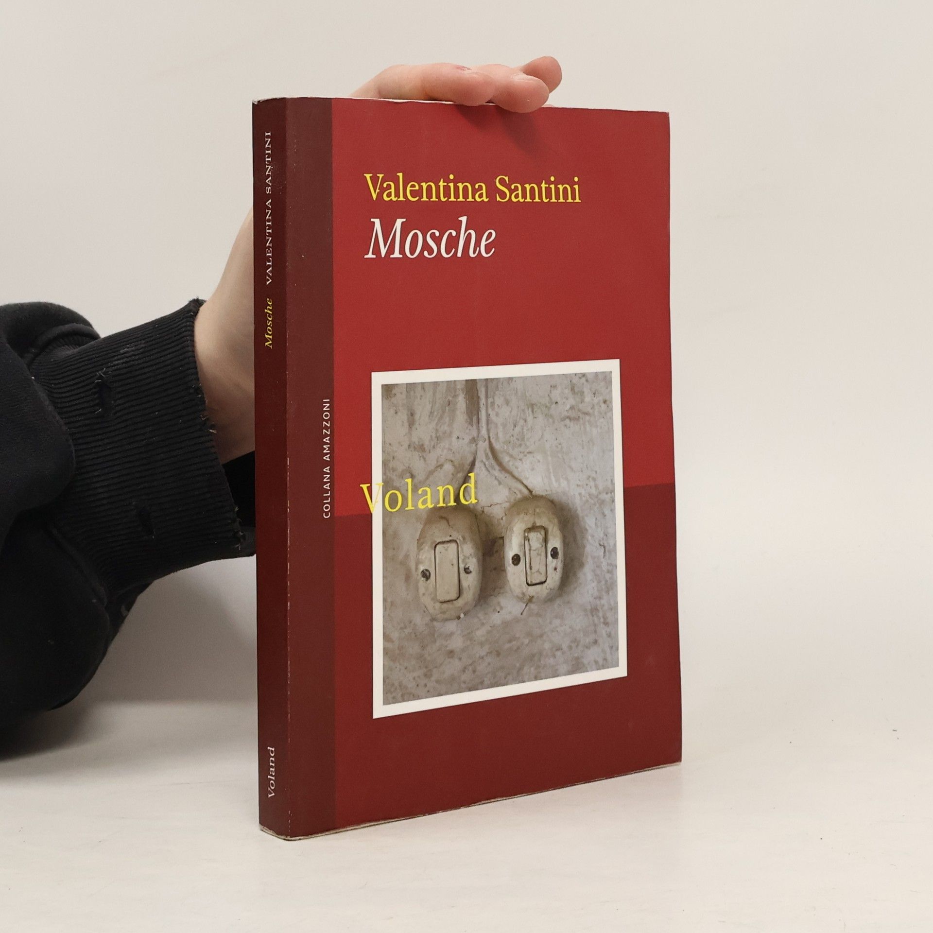 Valentina Santini Mosche