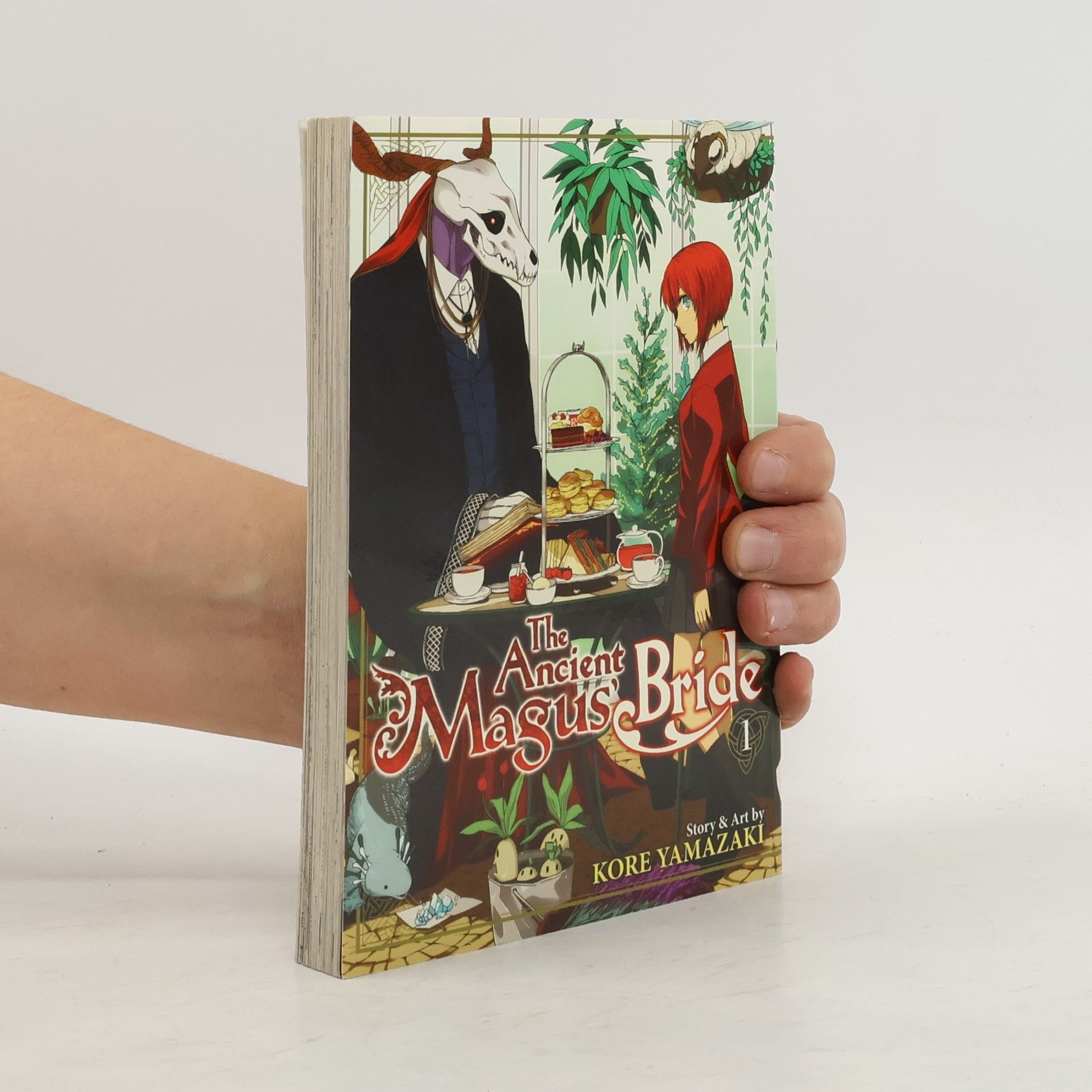 The Ancient Magus' Bride: Vol. 1