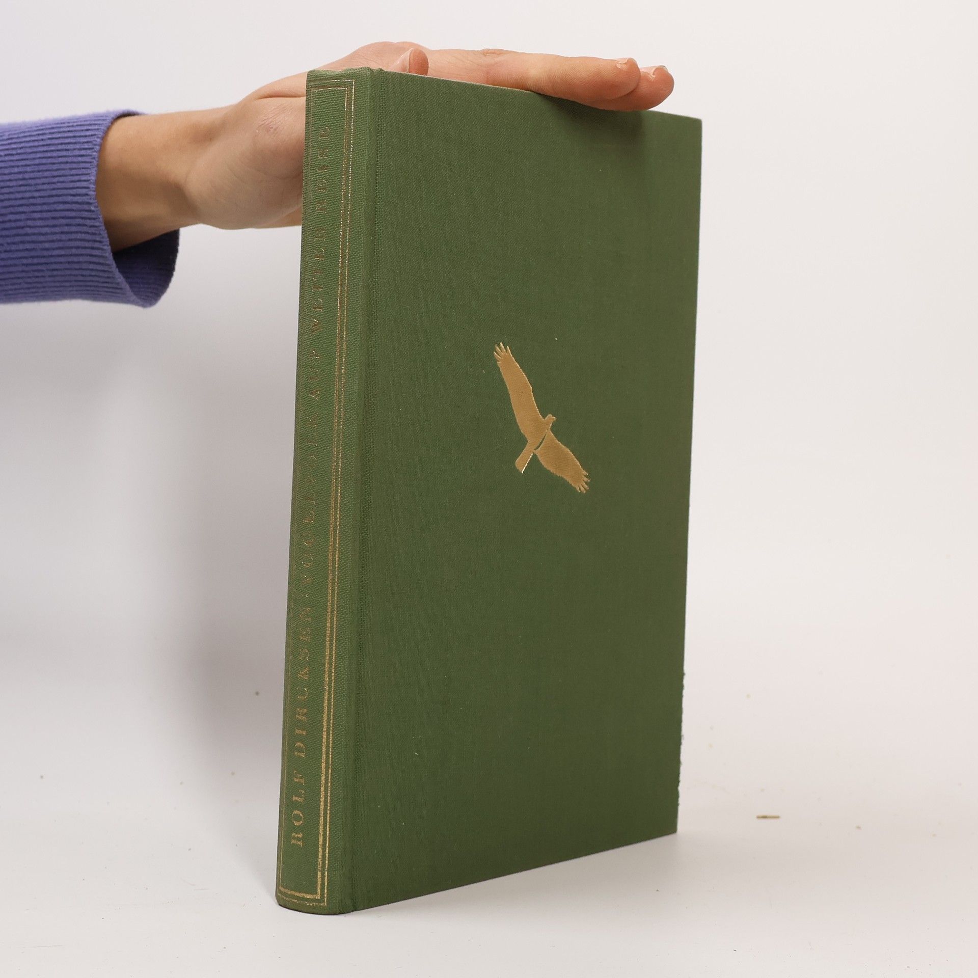 Vogelvolk auf weiter Reise