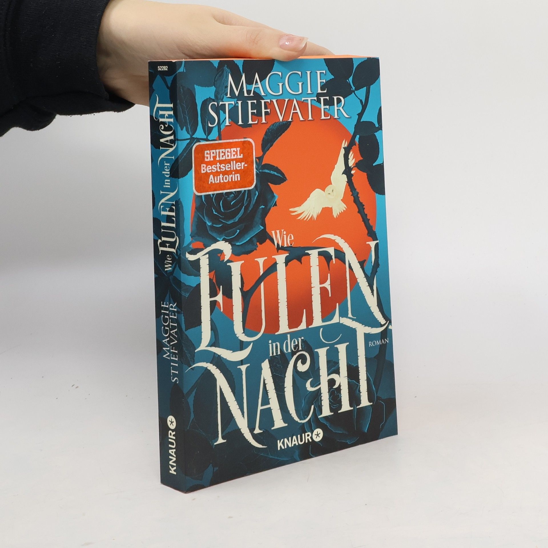 Maggie Stiefvater Wie Eulen in der Nacht