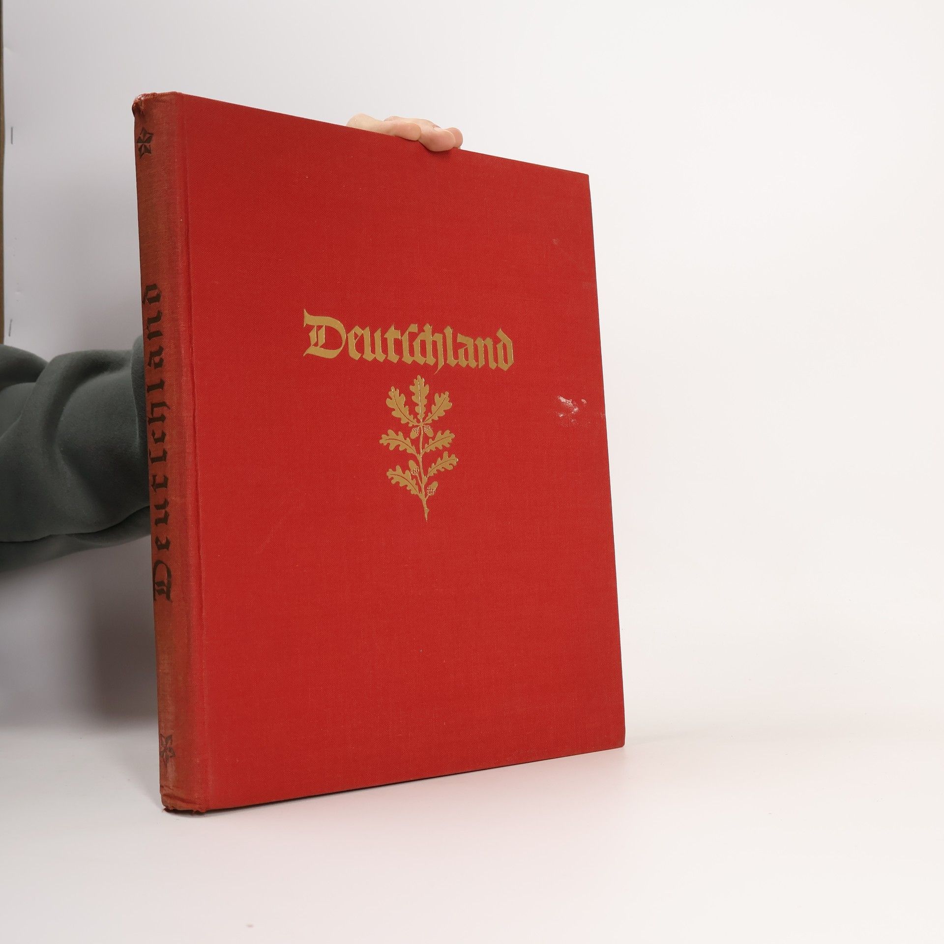 Ricarda Huch Deutschland. Baukunst und Landschaft