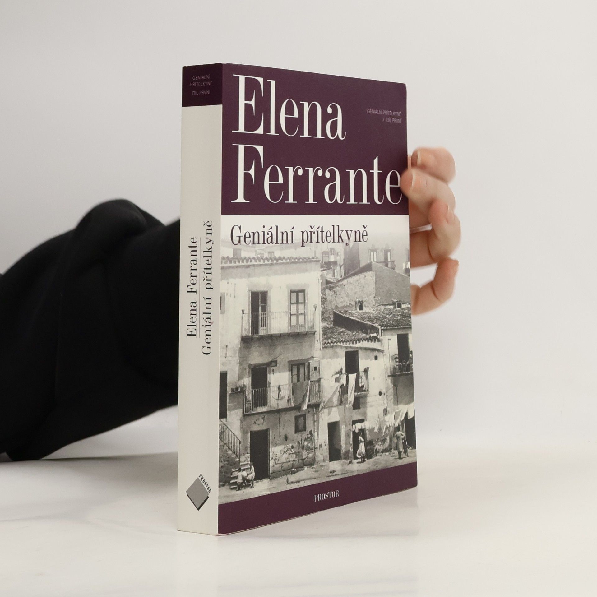 Elena Ferrante Geniální přítelkyně 1. Dětství a dospívání